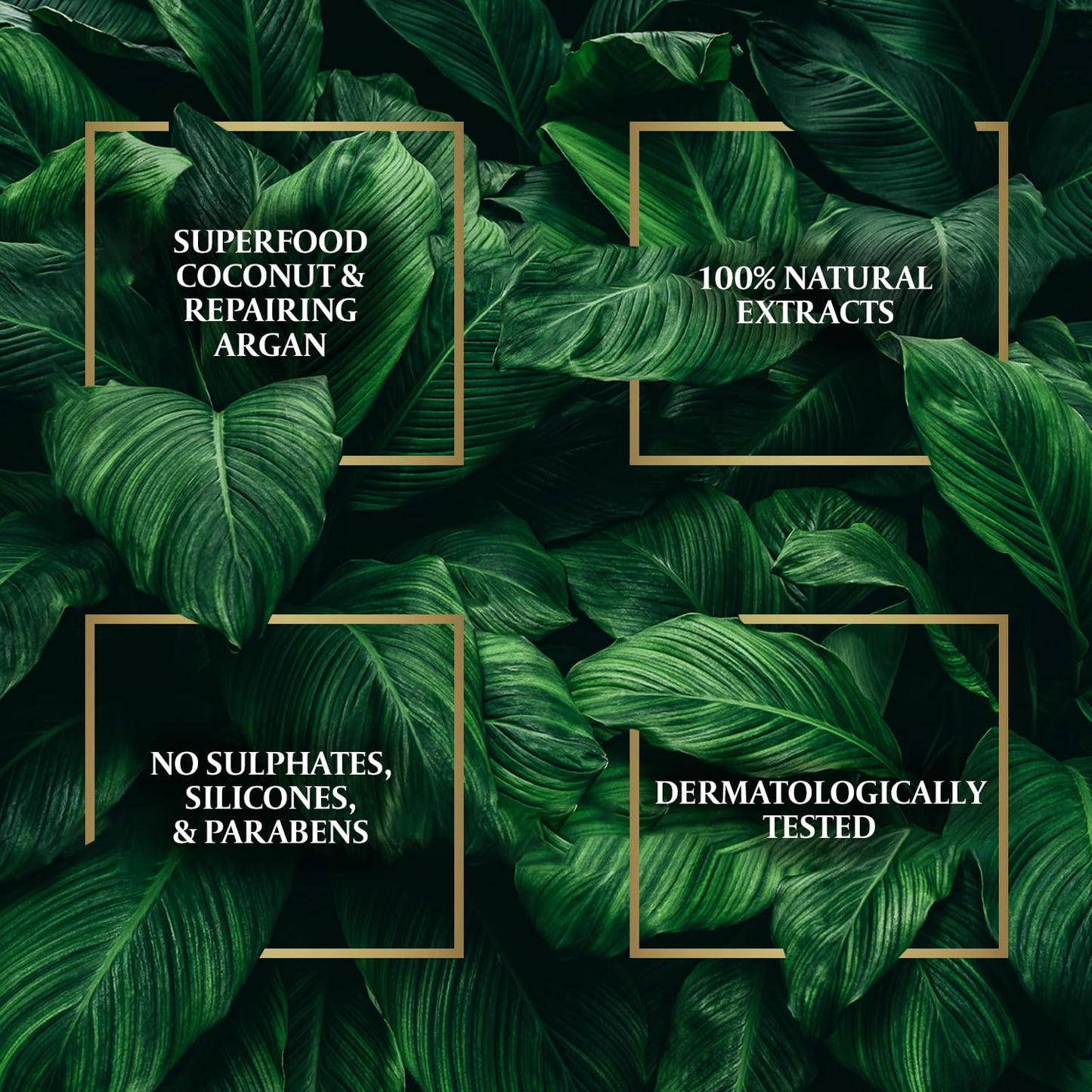 Parachute Advansed Argan Hair Oil with Coconut | Repairs Dry & Damaged Hair| Strengthens Hair & Boosts Shine| Controls Frizz| No Parabens & Silicones| 10.1 fl.oz