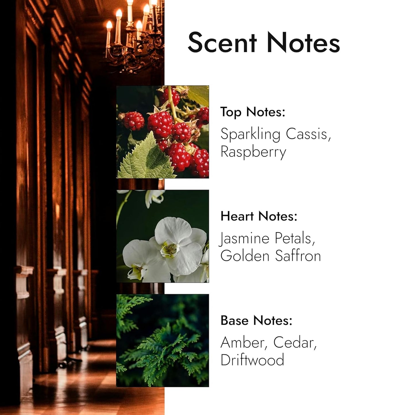 Modern Memory Rouge Couture Eau de Parfum for Women, 2.5 fl oz - Notes of Raspberry, Jasmine, & Golden Saffron