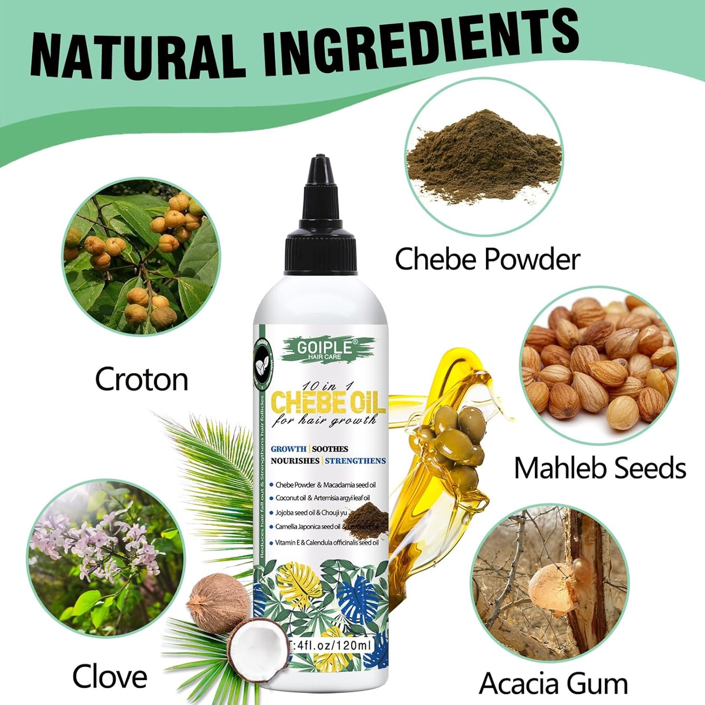 Chebe & Rosemary Hair Oil for Growth, 10 in 1 Moisturizer for Scalp, African Powder for Stronger, Longer Hair, Natural Oil for All Hair Types (2PCS)