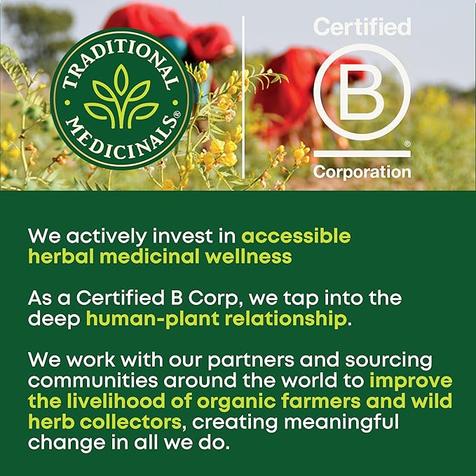 Traditional Medicinals Tea, Organic Rose Hips & Hibiscus, Supports Everyday Wellness, 96 Tea Bags (6 Pack)