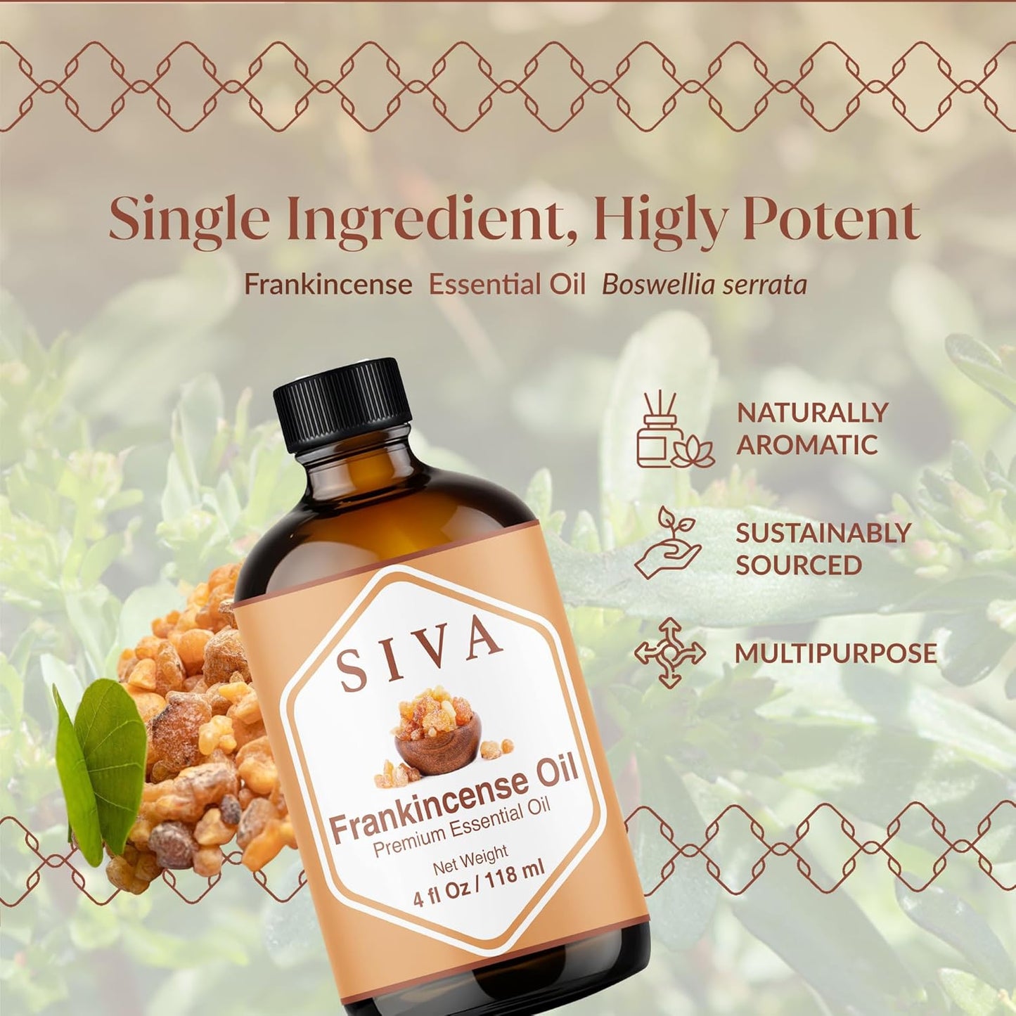 Siva Frankincense Essential Oil - 4 Fl Oz – 100% Natural Boswellia Serrata Oil - for Diffuser, Face, Skin Care, Aromatherapy, Hair Care, Scalp and Body Massage - with Dropper