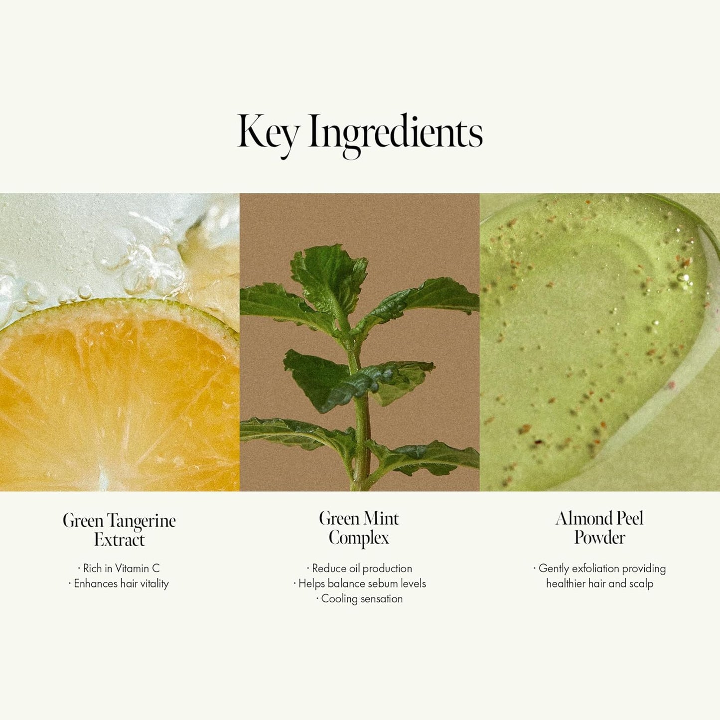 Lime Sunday Refresh Shampoo with Vitamin C, Korean Jeju Tangerine, Mint & Almond Powder for Oily Scalp Care – Exfoliating, Deep Cleansing, Lime Citrus Scent, Silicone & Paraben-Free (15.22 fl.oz)