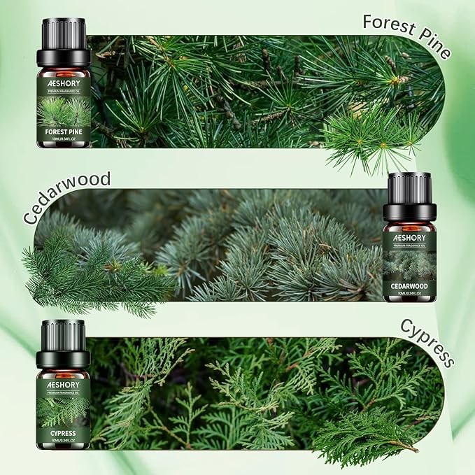 Woody Essential Oils Set - 6x10ML Woody Scents Fragrance Oil for Candle Making, Diffuser - Teakwood, Sandalwood, Cedarwood, Cyperss, Forest Pine, Frankincense Aromatherapy Oils