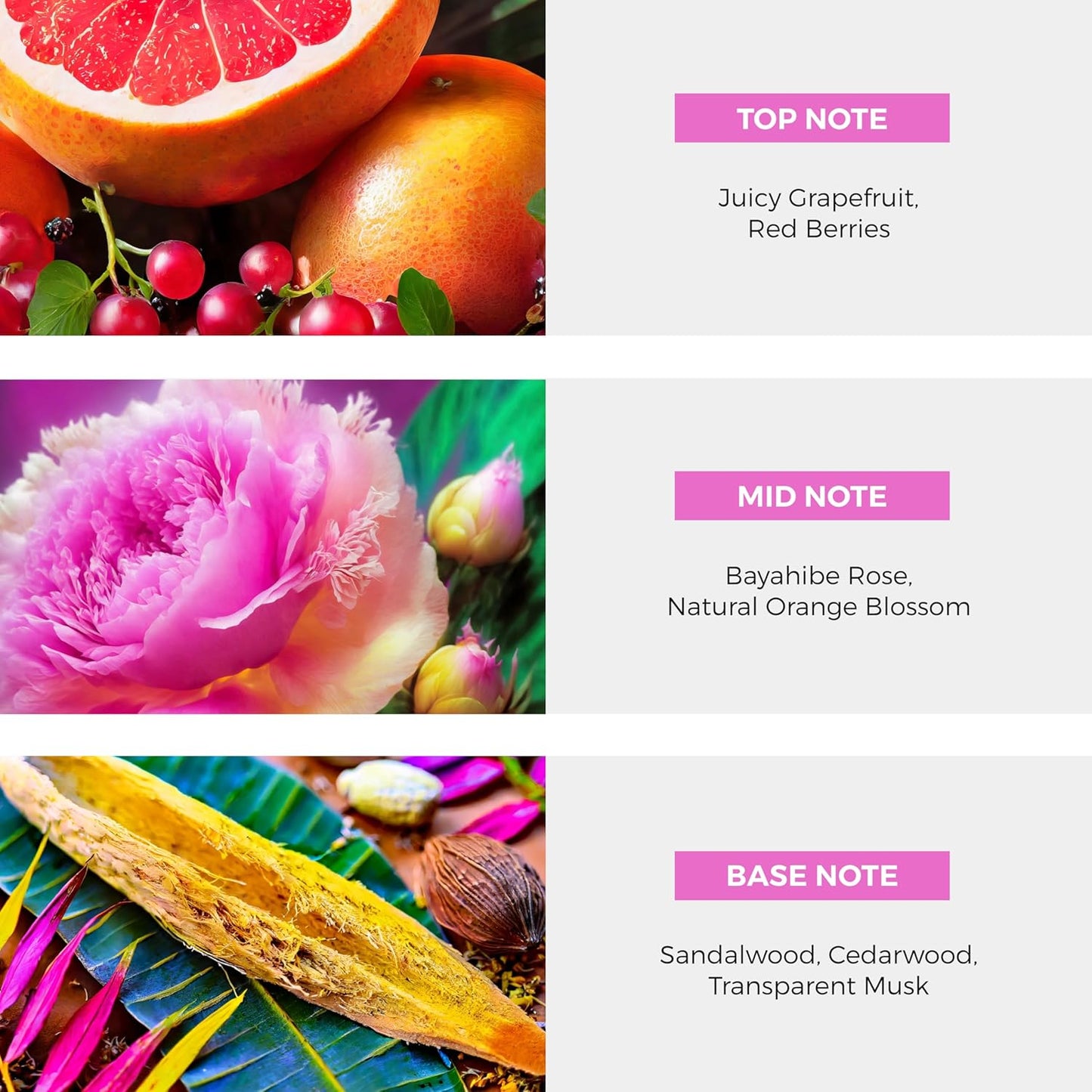 Dominican Republic Bayahibe Rose EDP Perfume Spray - 100 ml (3.4 oz)