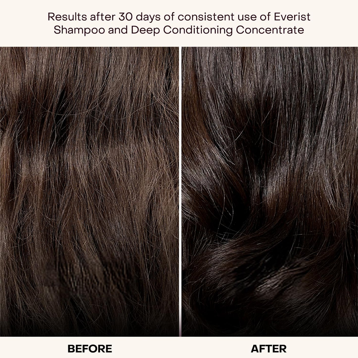 Everist The Haircare Essentials Duo, Includes Shampoo & Deep Conditioner, Repairs Hair, Ideal for Sensitive Scalp, Hydration and Smoothing, Plant-based, Color-safe, 3.4 fl oz Each