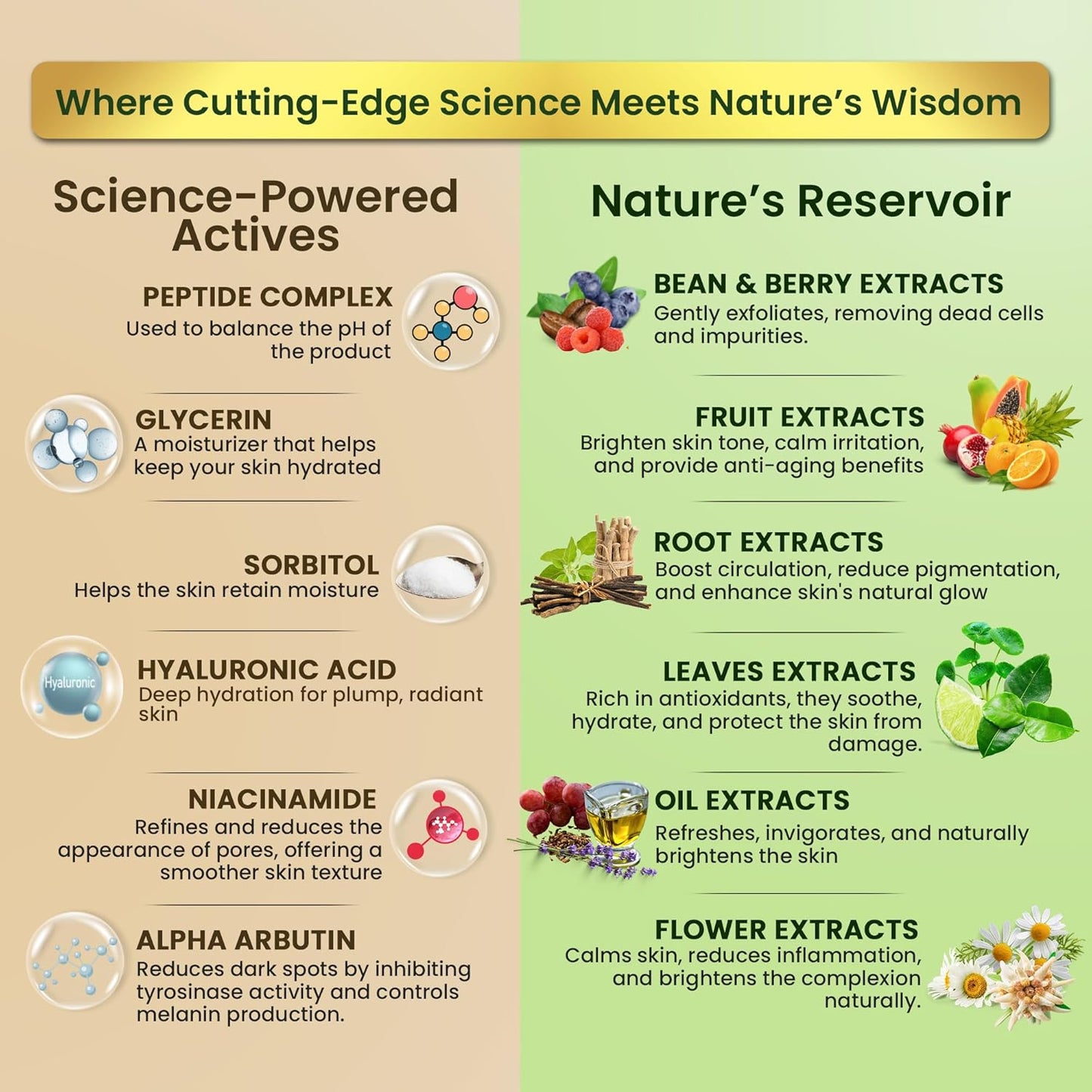 Meg collection - Skincare Set for Women | MegPep Hyaluronic Acid Face Serum - Anti-Aging | MegFresh Hydrating Cleanser- Exfoliating Face Wash | Megbrigt Moisturizer- Dark spots