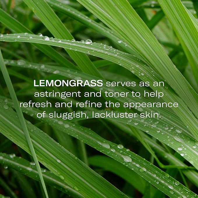 Odacité Brightening Serum Concentrate with Green Tea + Lemongrass for Radiant Skin - Lightweight, Hydrating & Brightening Anti-Aging Facial Oil Concentrate for Sluggish & Lackluster Skin - 0.17 fl. oz