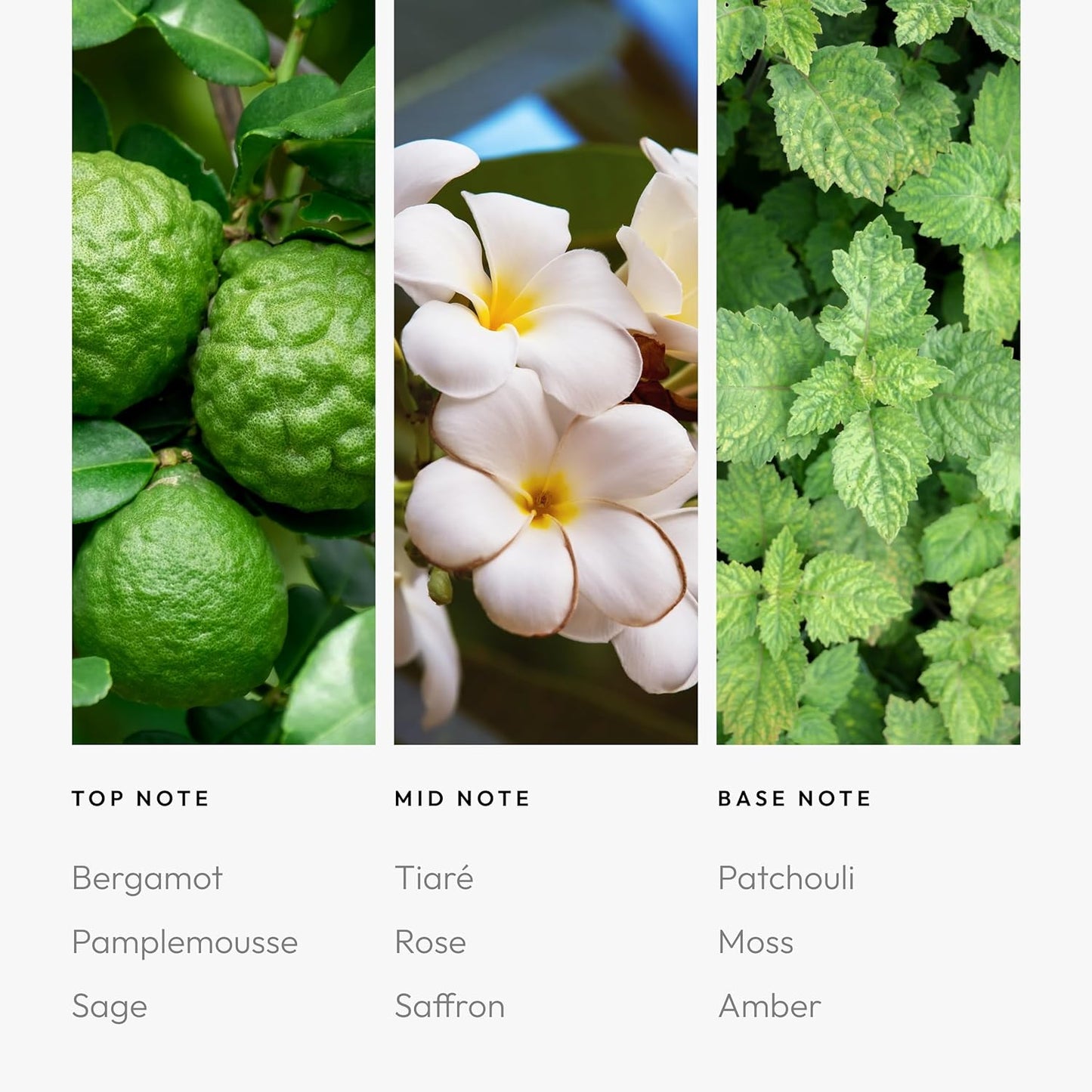 Aroma360 Parfum - Men's Cologne & Women's Perfume - Unisex Eau de Parfum - Luxurious Fragrance Oil