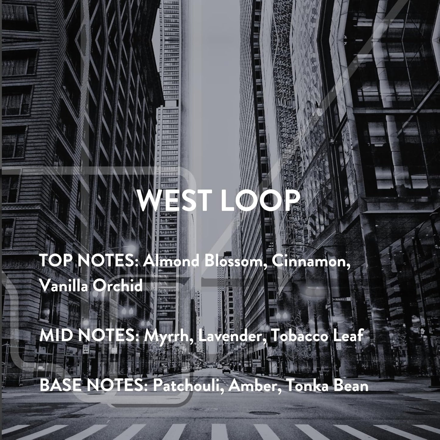 Michael Malul West Loop - 10ml Travel Size