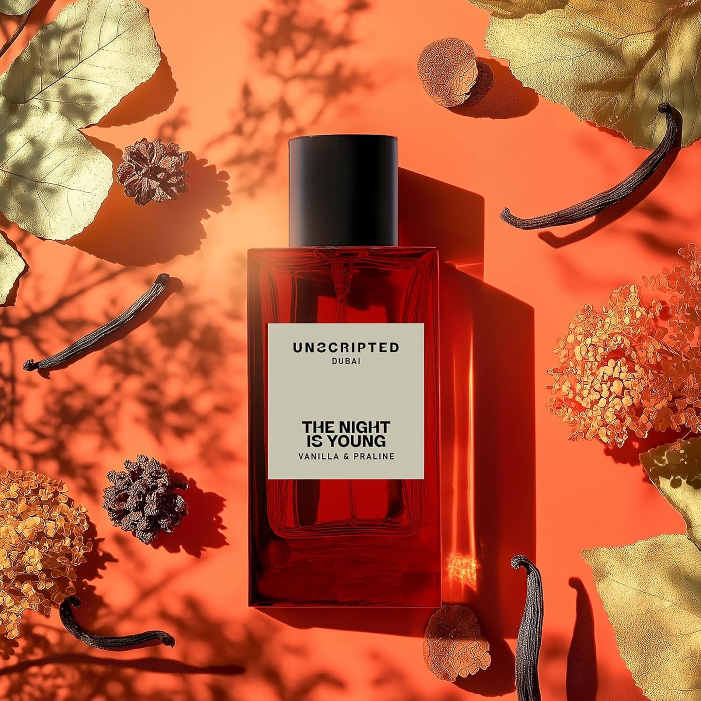 Unscripted. The Night Is Young - Bold, Long-Lasting Perfume For Men And Women - Spicy-Sweet Women Perfume with Notes of Cognac and Vanilla - 3.4 oz