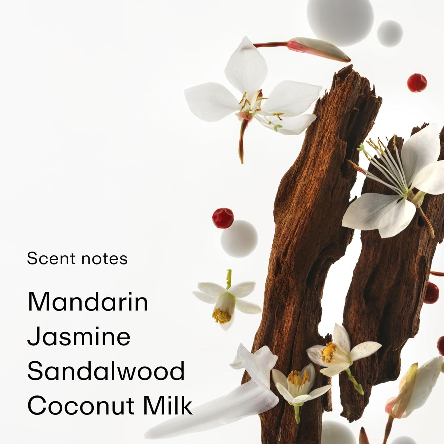 PHLUR Golden Rule Eau de Parfum - Full Size Perfume Fragrance - Fruity Floral Perfume with Mandarin, Pink Pepper, Pear, Jasmine, Coconut Milk, Sandalwood & Vanilla Cream (50mL)