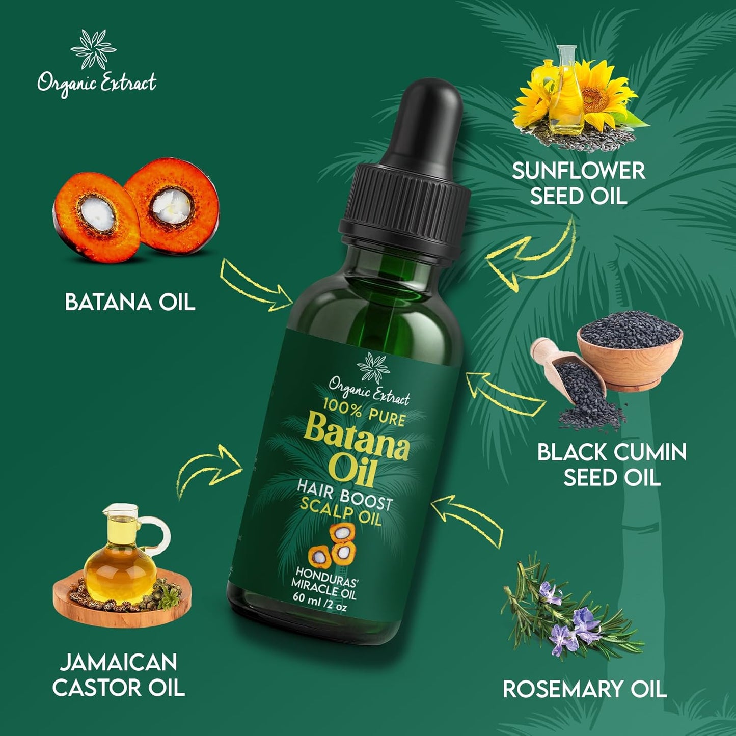 Batana Oil for Hair & Scalp – 2 fl oz / 60ml – Deep Hydration & Frizz Control – Pure & Natural Moisturizing – Lightweight, Nourishing Oil for All Hair Types – For Men & Women