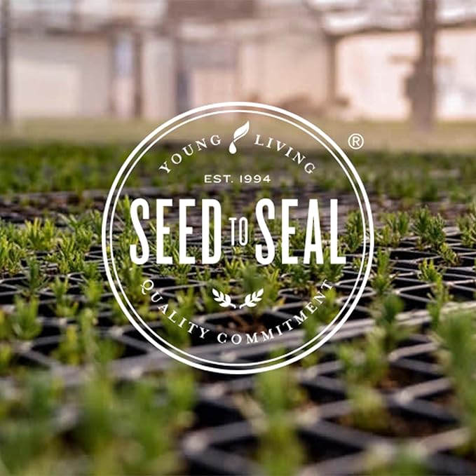 Citrus Fresh Essential Oil 15ml by Young Living Essential Oils