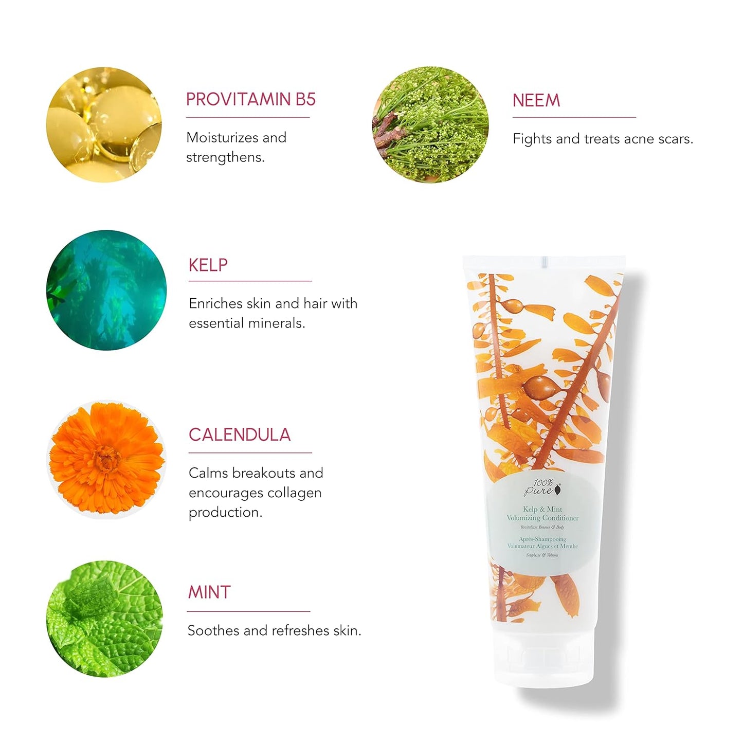 100% PURE Kelp & Mint Volumizing Conditioner Moisturizer & Deep Hydration - Botanical Body Boost for Dry, Damaged Thinning Hair, Promotes Healthy Growth for Women & Men - Sulfate Free - 8 Fl Oz