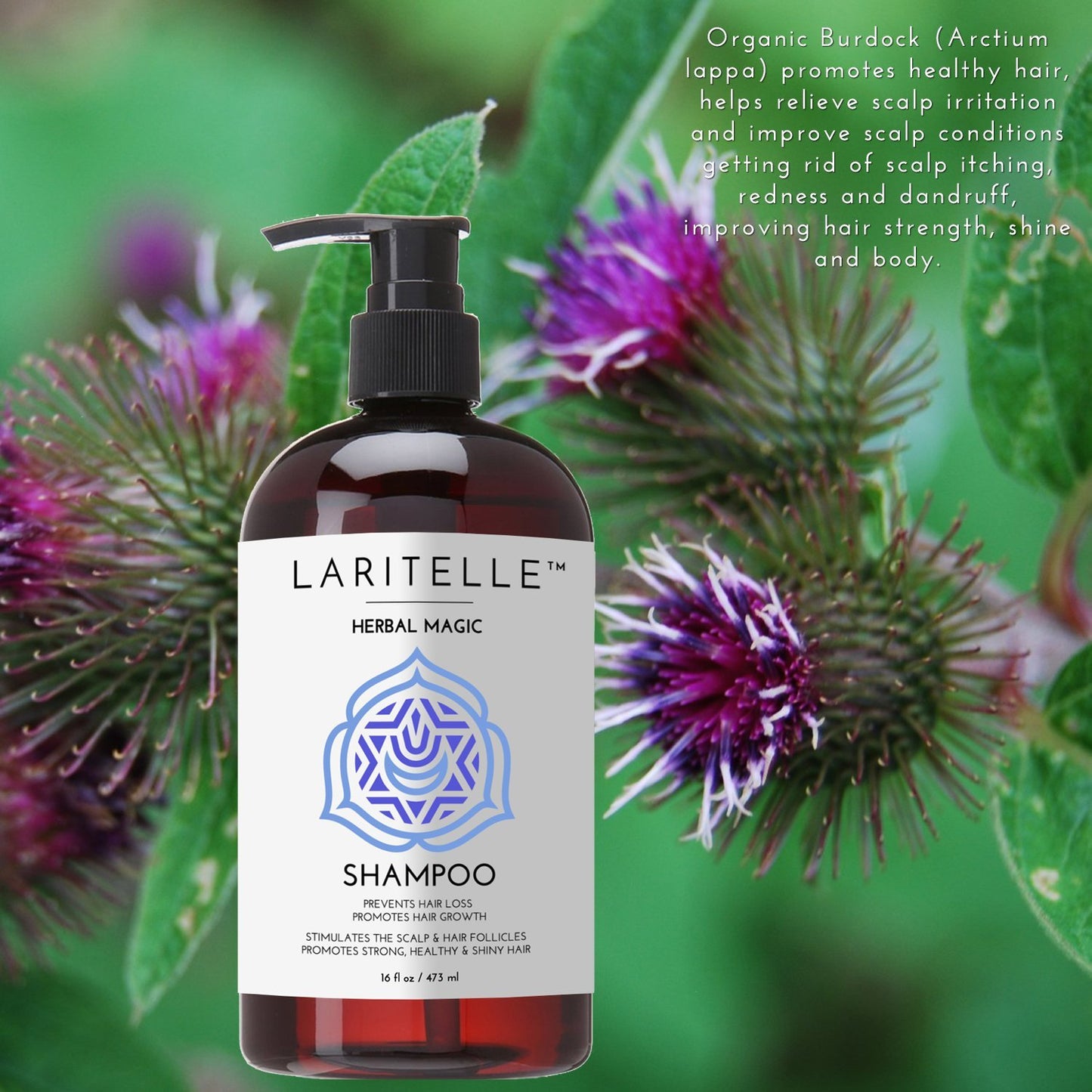 Laritelle Organic Unscented Shampoo Herbal Magic | Hair Loss Prevention, Clarifying & Strengthening | Rosemary & Saw Palmetto | NO GMO, Sulfates, Gluten, Alcohol, Parabens, Phthalates | Hypoallergenic