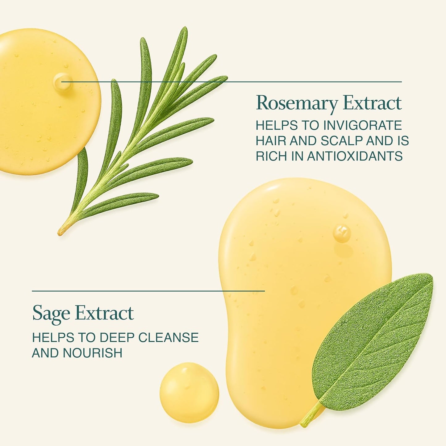 FUNCTION OF BEAUTY Clarifying & Detox Shampoo (11 oz) – For for All Hair Types – Removes Build Up & Oil with Rosemary, Sage & Aloe – Sulfate-Free, Vegan Hair Care