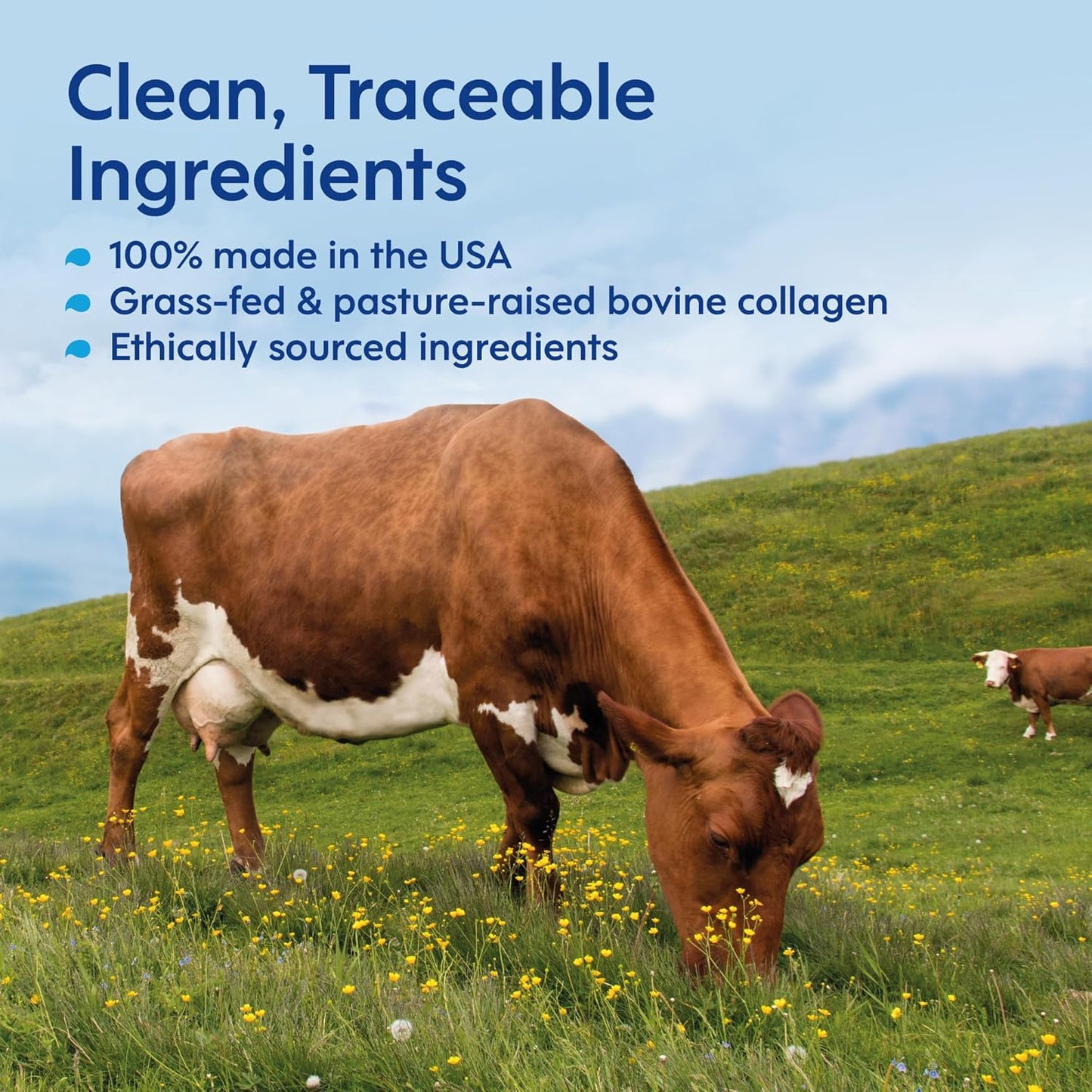 Hydrolyzed Liquid Collagen Peptides for Women & Men - Grass-Fed Bovine Protein Supplement for Hair Growth, Skin and Nails (Pack of 14, Peach)