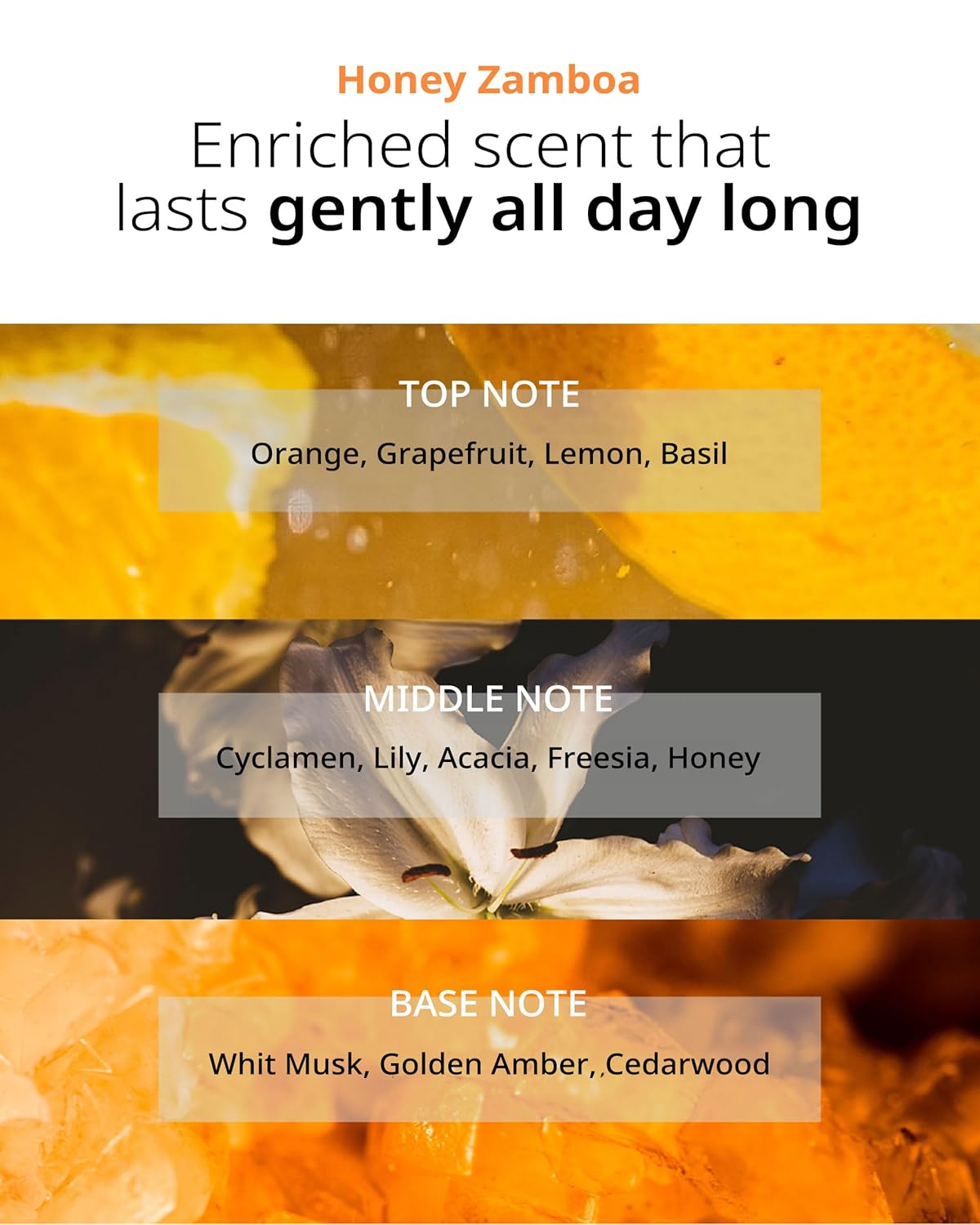 DAN DAN Nourishing Hair Shampoo - pH 5.5 Keratin & Protein Perfumed Shampoo for Frizz Control, Moisturizing, Thicker Hair - Citrus & Honey Scent - Paraben Free - 17 fl.oz