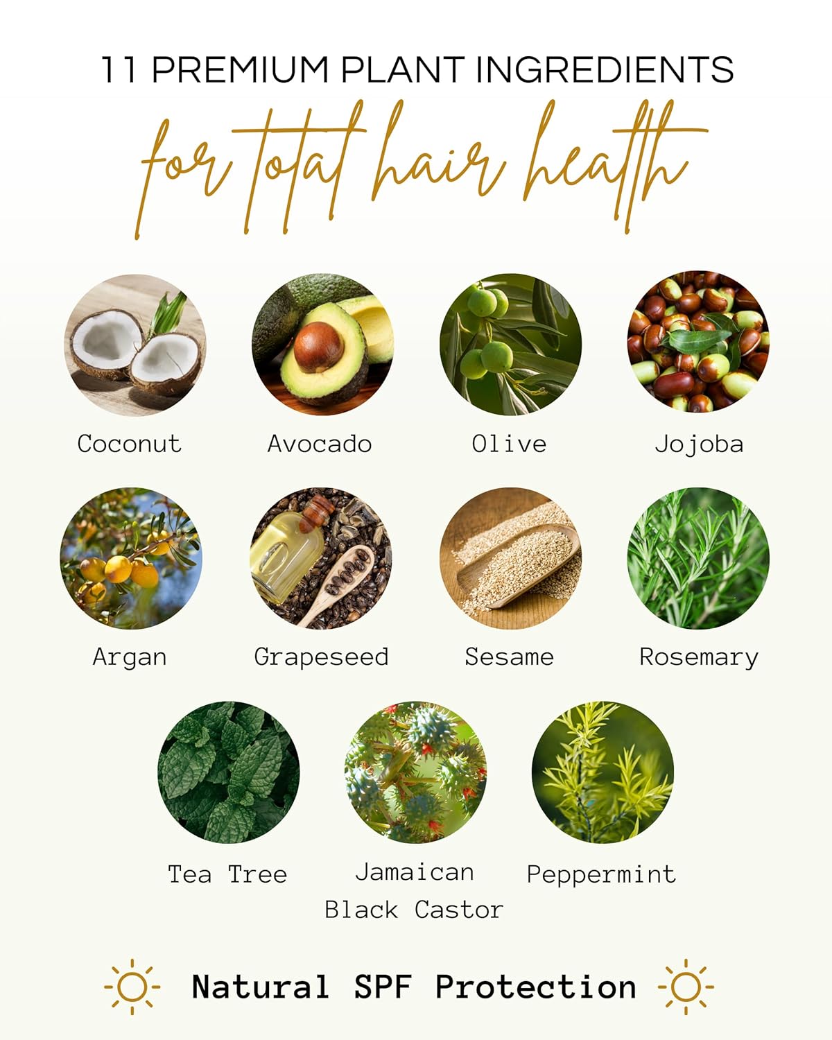 Righteous Roots Rx Hair Oil for Hair Growth, Anti Frizz and Thickener Best for Curly, Wavy Natural Hair and Beards. 4fl oz (Previously known as Hair RX)