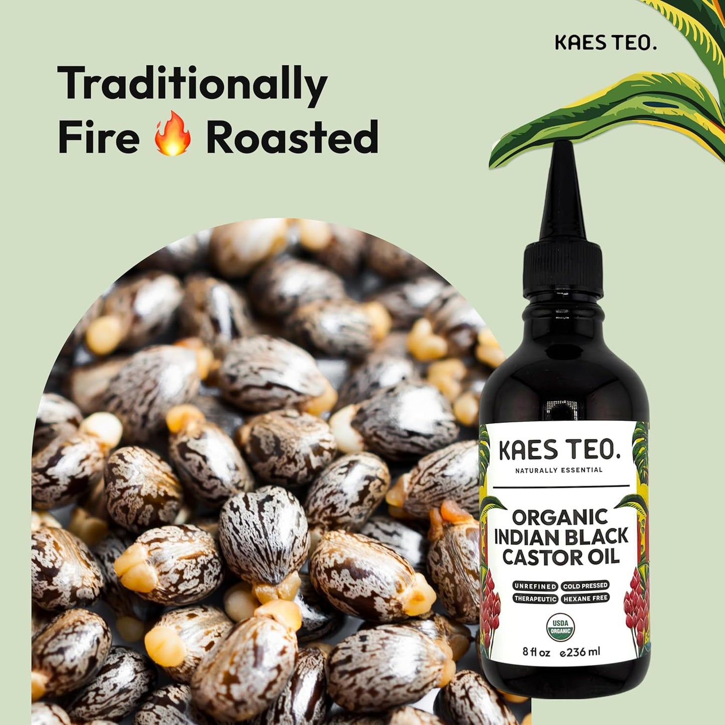 Organic Black Castor Oil for Hair Growth - Not Jamaican Black Castor Oil, Moisturizes Skin, Nail, Scalp, Thicker Eyebrows, Lashes 100% Pure Cold Pressed Hexane Free - Premium Kit, 8 fl oz