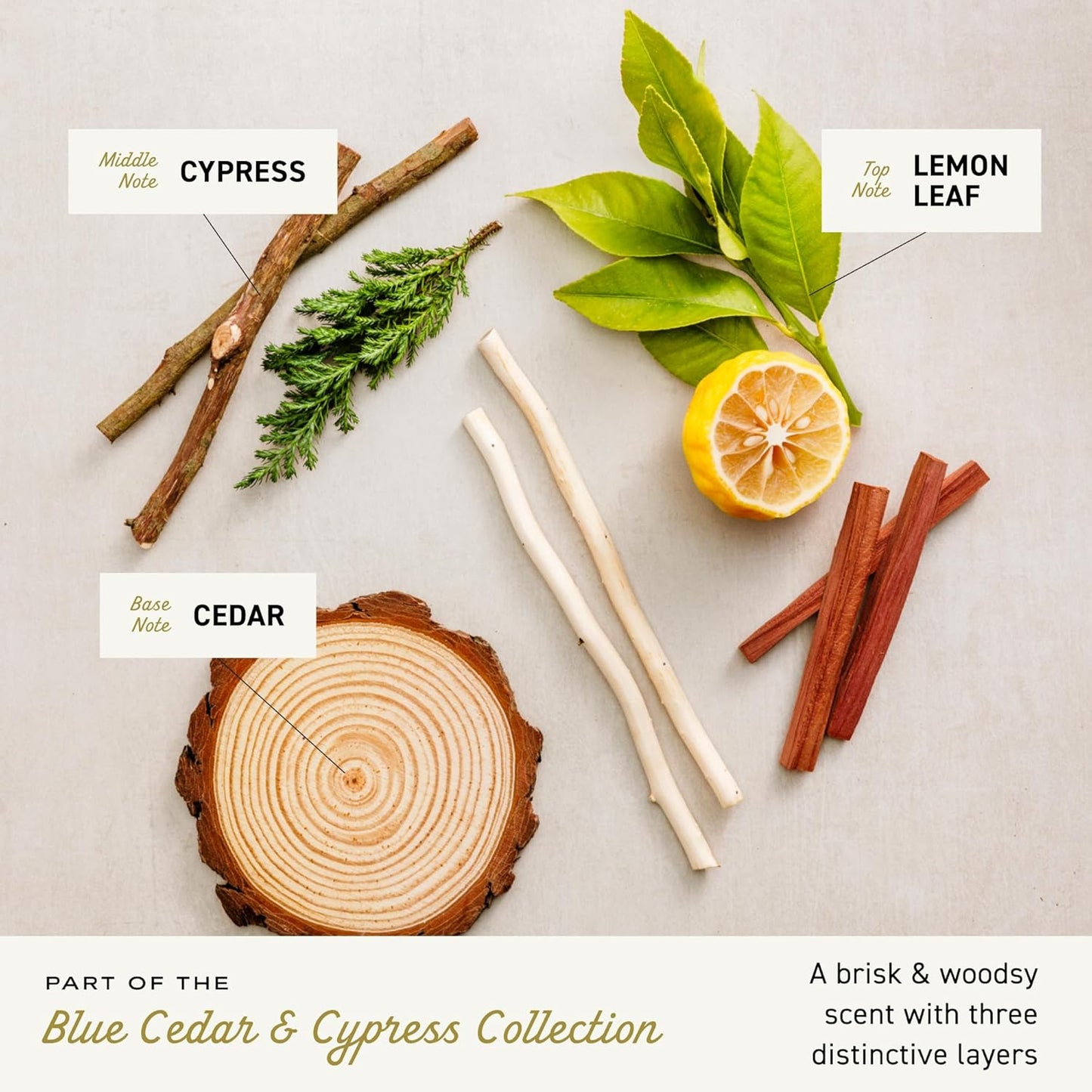 Cremo Cologne For Men - Blue Cedar & Cypress Mens Cologne Spray, A Woodsy Scent with Notes of Lemon Leaf, Cypress and Cedar, Multi-Layered Signature Men's Fragrances, 3.4 Fl Oz