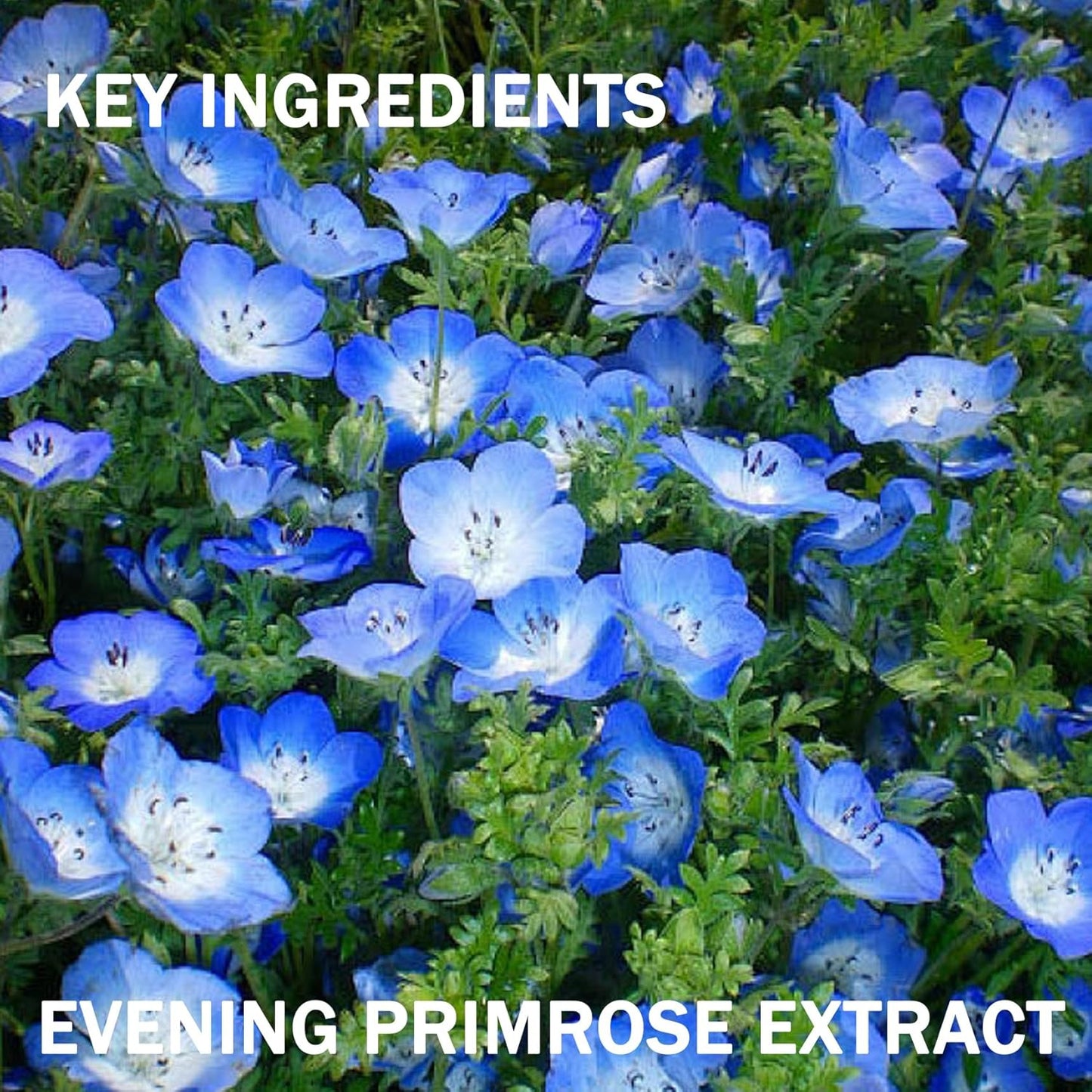 Moisturizing Gel for Face & Body,Non-sticky Gel After Sun Aloe Lotion Skin Care,Fast Absorbing Long Lasting Refreshing Hydrating Face Moisturizer for All Skin Types G