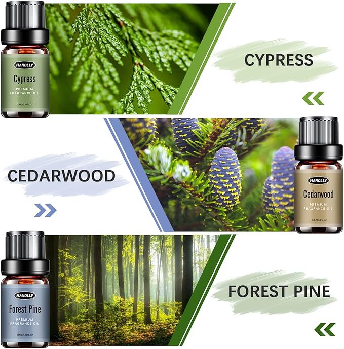 Woody Essential Oils Set, Woody Scents Fragrance Oil Aromatherapy Essential Oils Kit for Diffuser (6x10ML) - Sandalwood, Cedarwood, Teakwood, Agarwood, Cypress, Forest Pine Aromatherapy Oils