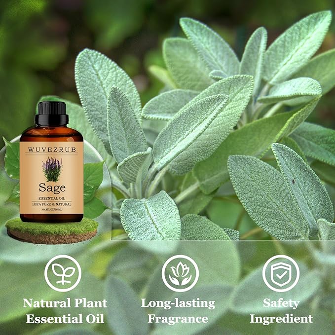 Sage Essential Oils 240ML, Pure Sage Essential Oil for Aromatherapy Diffuser - 8 Fl Oz
