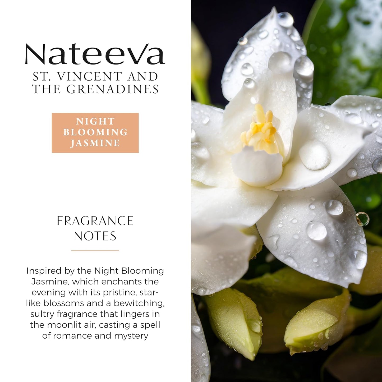 St. Vincent And The Grenadines Night Blooming Jasmine EDP Perfume Spray - 100 ml (3.4 oz)