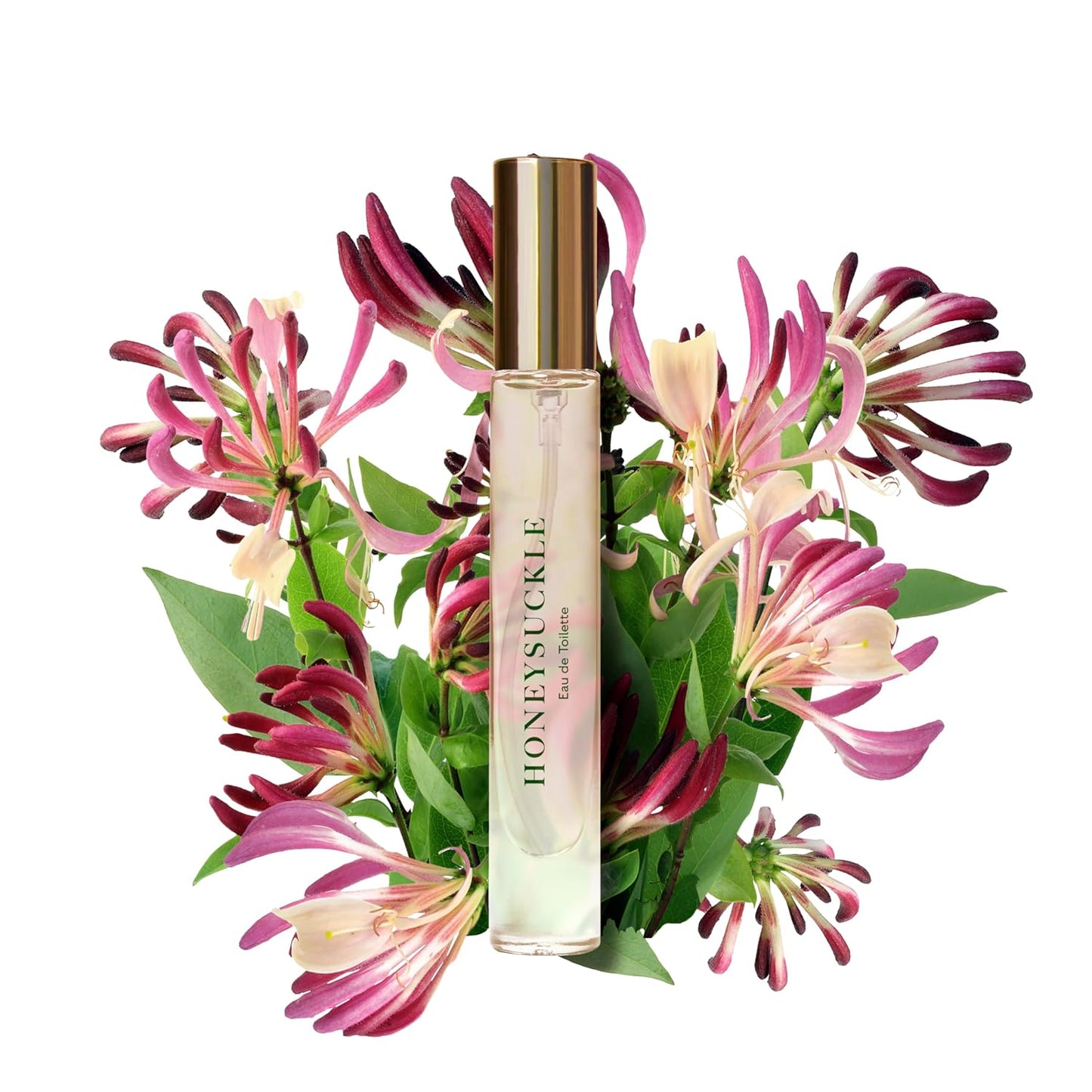 Caswell-Massey Honeysuckle Eau de Toilette Spray Feminine Floral Perfume with Fresh Honeysuckle, Mandarin & Musk Notes, Made in USA, 0.25 Fl Oz