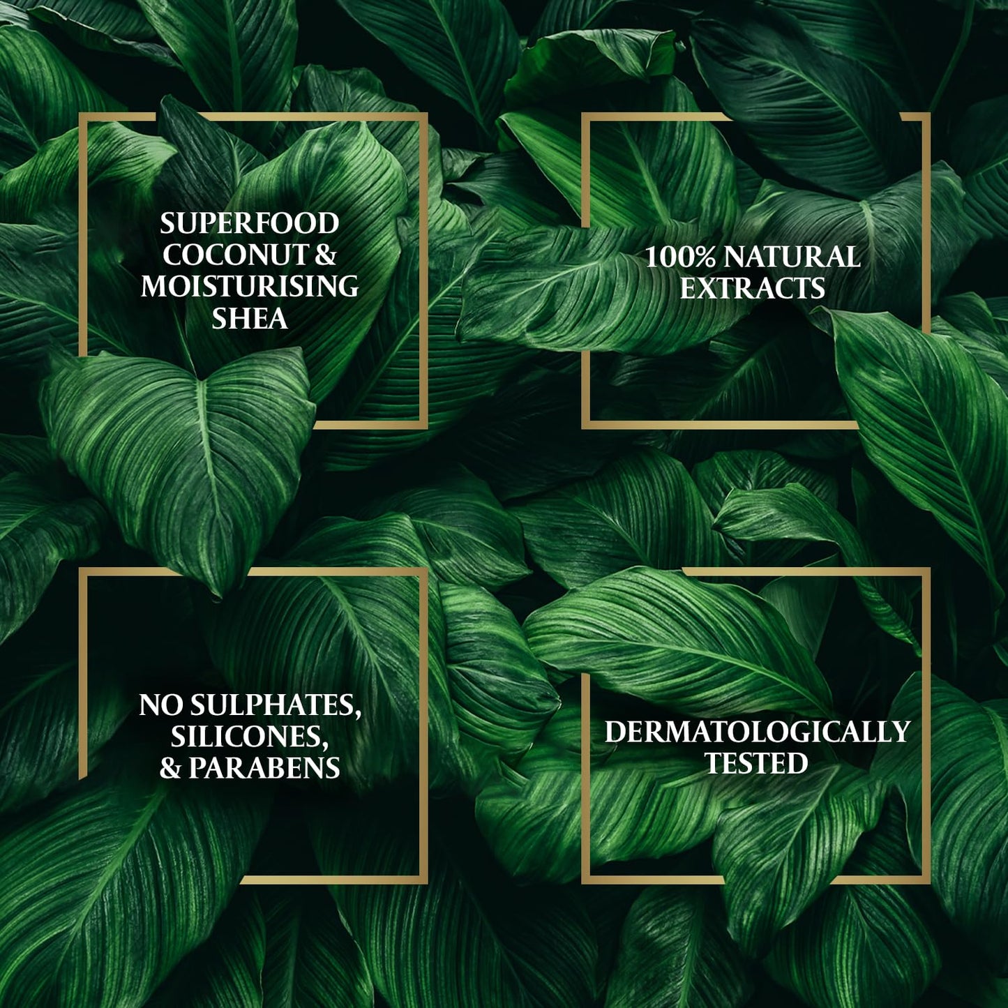 Parachute Advansed Castor & Shea Hair Oil with Coconut| Castor Hair Oil| 10x Stronger Hair| For Thick, Soft & Nourished Hair| 10.1 Fl.oz.