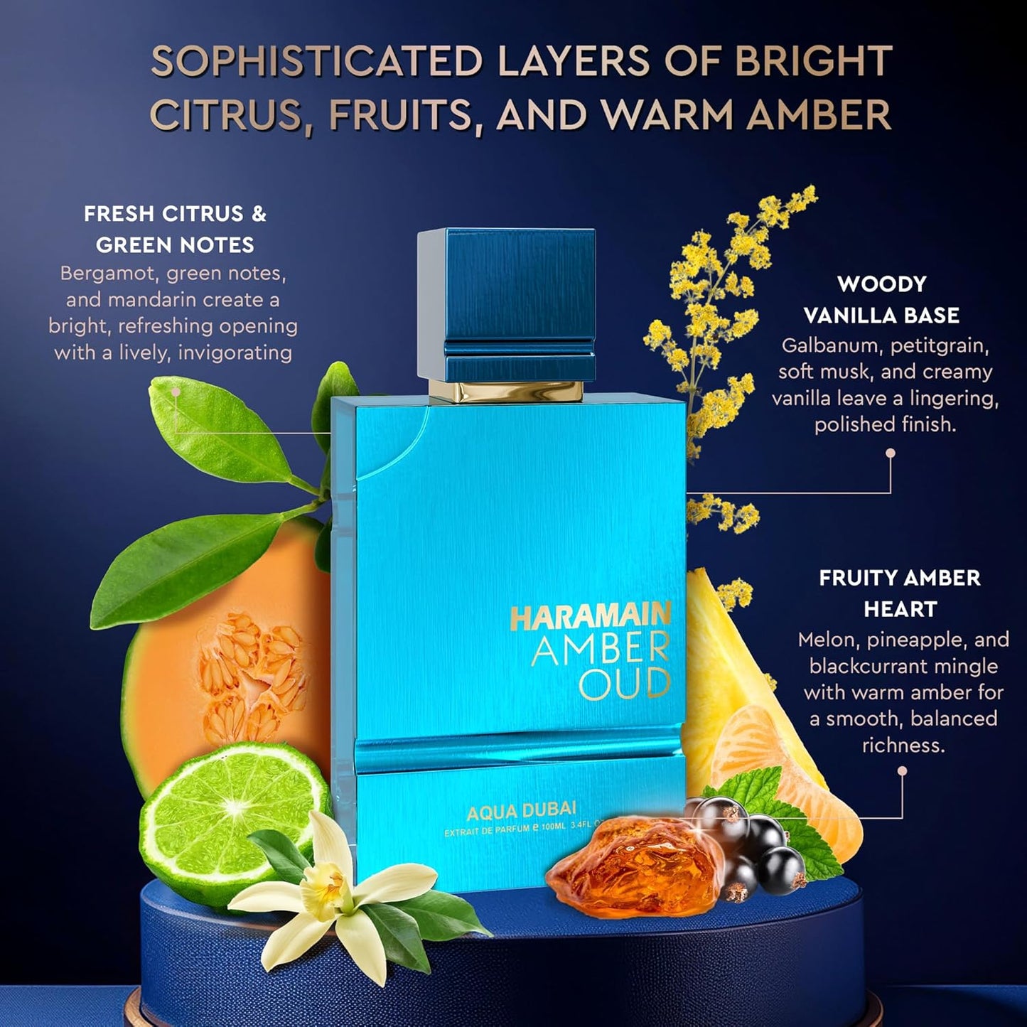 Al Haramain Amber Oud Eau de Parfum – Aqua Dubai – Oud Cologne with Atomizer – Men's Perfume for Men: Bergamot, Green Notes, Mandarin, Melon, Pineapple, Amber, Vanilla, Musk, Mens Fragrances (3.33oz)