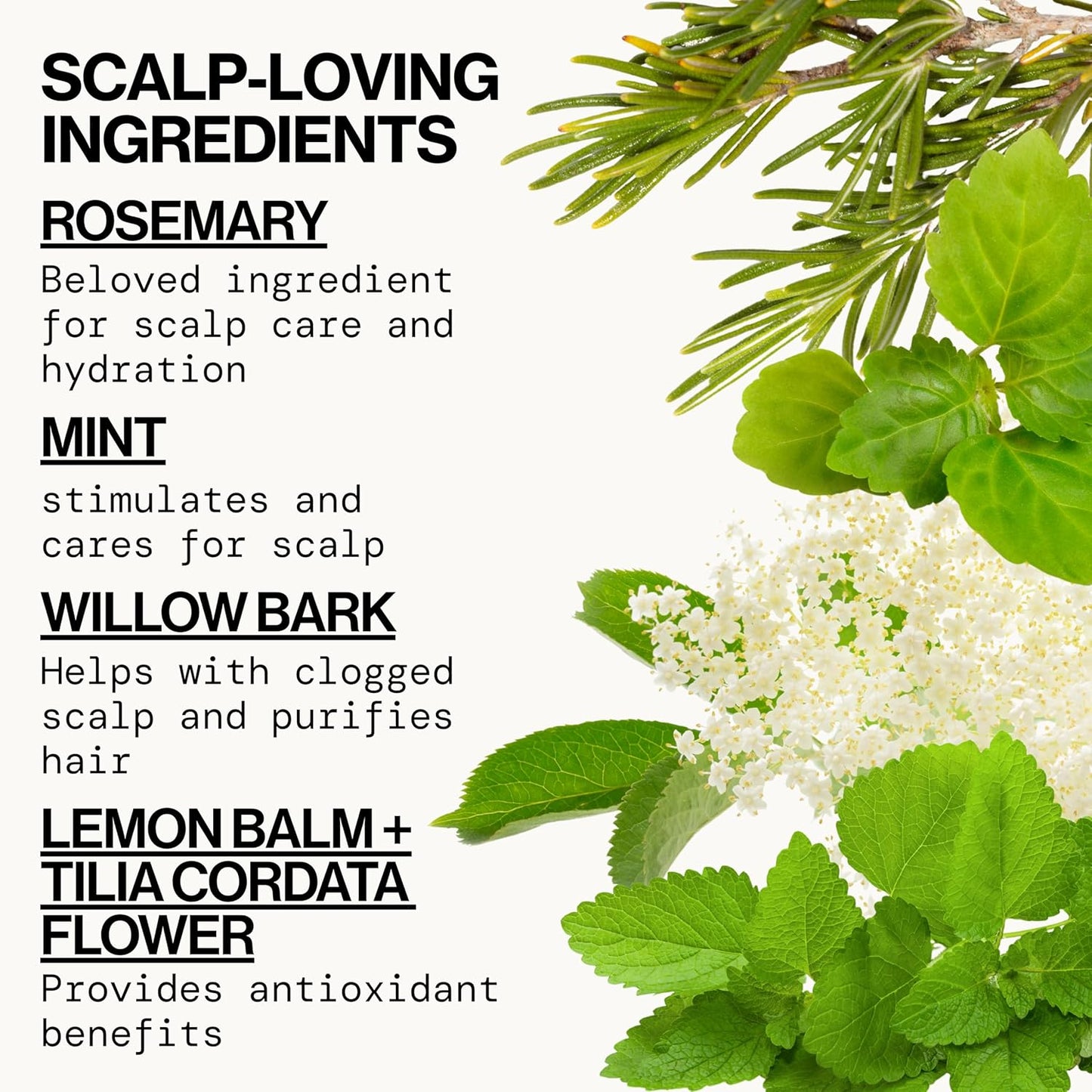 Pacifica Clarifying Shampoo – Rosemary Purify Invigorating Shampoo w/Soothing Mint for Detoxing Hair & Scalp Build-Up, Sulfate & Silicone Free - Vegan & Cruelty-Free Dermatologist Tested