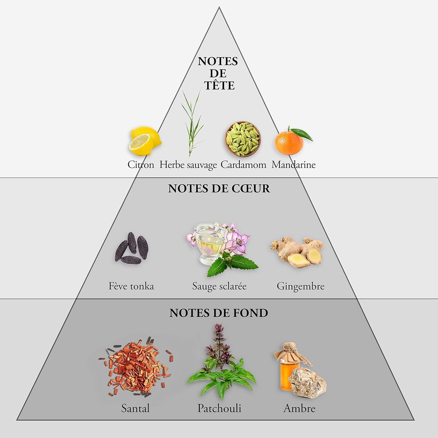 EVAFLORPARIS WHISKY SPORT Eau de Toilette for Men – Fresh and Energizing Scent with Mandarin, Ginger and Amber – For the Dynamic and Competitive Man – Made in France 3.4 Fl Oz