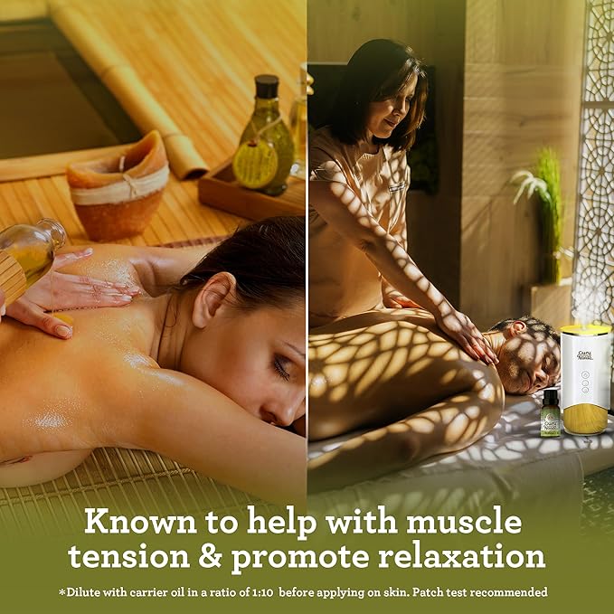 GuruNanda Lemongrass Essential Oil (Pack of 2 x 0.5 Fl Oz) - 100% Pure, Premium Therapeutic Grade Oil for Cleansing and Rejuvenation, Aromatherapy for Hair and Face Care, Fresh Citrus Scent