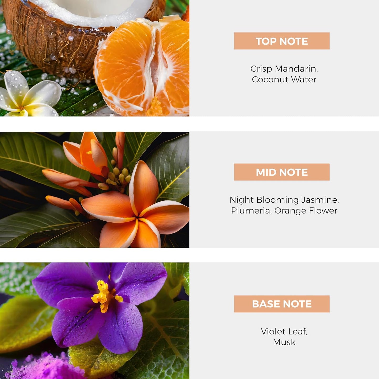 St. Vincent And The Grenadines Night Blooming Jasmine EDP Perfume Spray - 100 ml (3.4 oz)