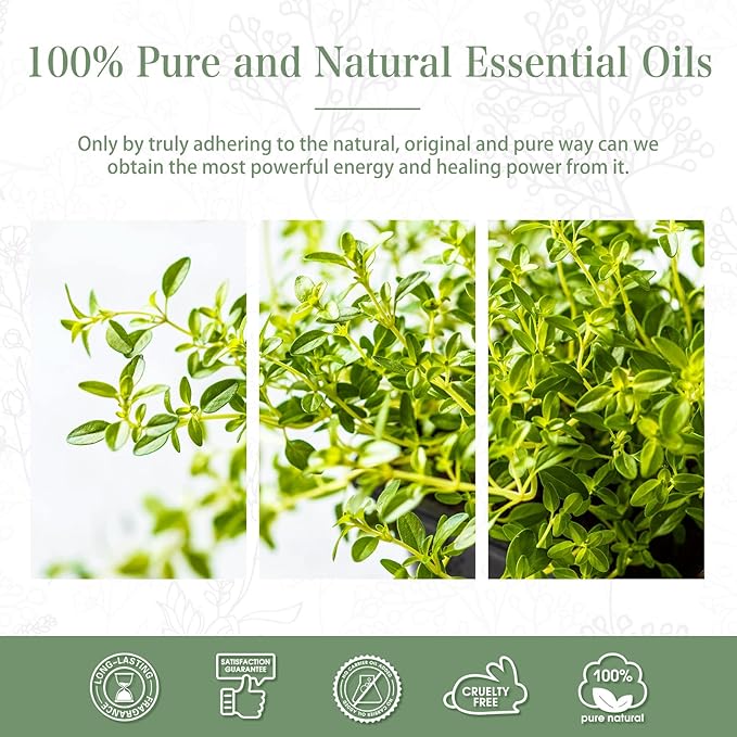Thyme Essential Oil, 1.01Fl.Oz (30ML) PHATOIL Pure Essential Oil Singles for Aromatherapy Diffusers, Humidifiers, Great for DIY Candle and Soap Making, Gift for Friend