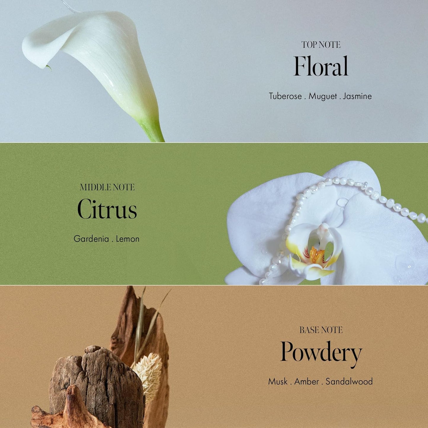 ANILLO Gardenia Veil Color Shield Shampoo – Color-Treated Hair Care with Vegan Collagen, Protein Complex & White Bloom – Shine Enhancing, Damage Repair, Sulfate & Silicone-Free – 300ml / 10.1 fl oz