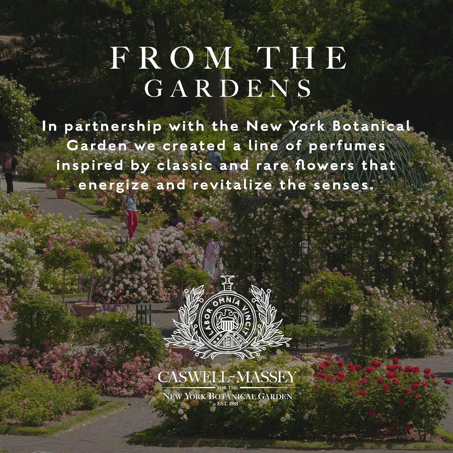 Caswell-Massey Gardenia Eau de Toilette Spray, Feminine Floral Perfume with Citrus Zest, Gardenia & Peony, Made in USA, 0.25 Oz