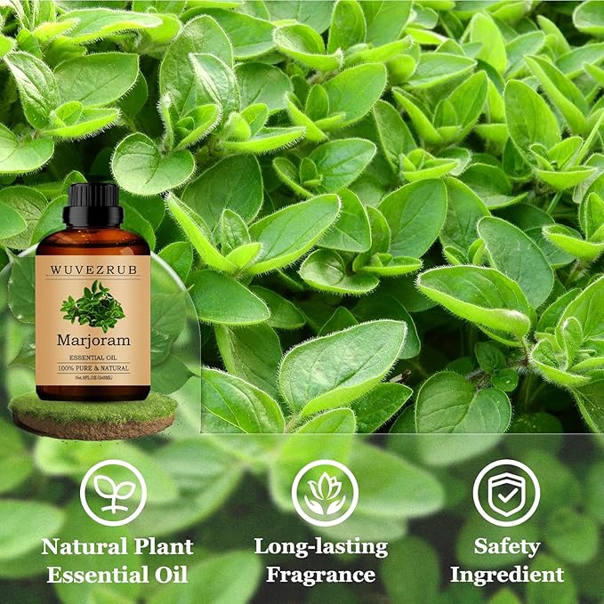 Marjoram Essential Oils 240ML, Pure Marjoram Essential Oil for Aromatherapy Diffuser - 8 Fl Oz