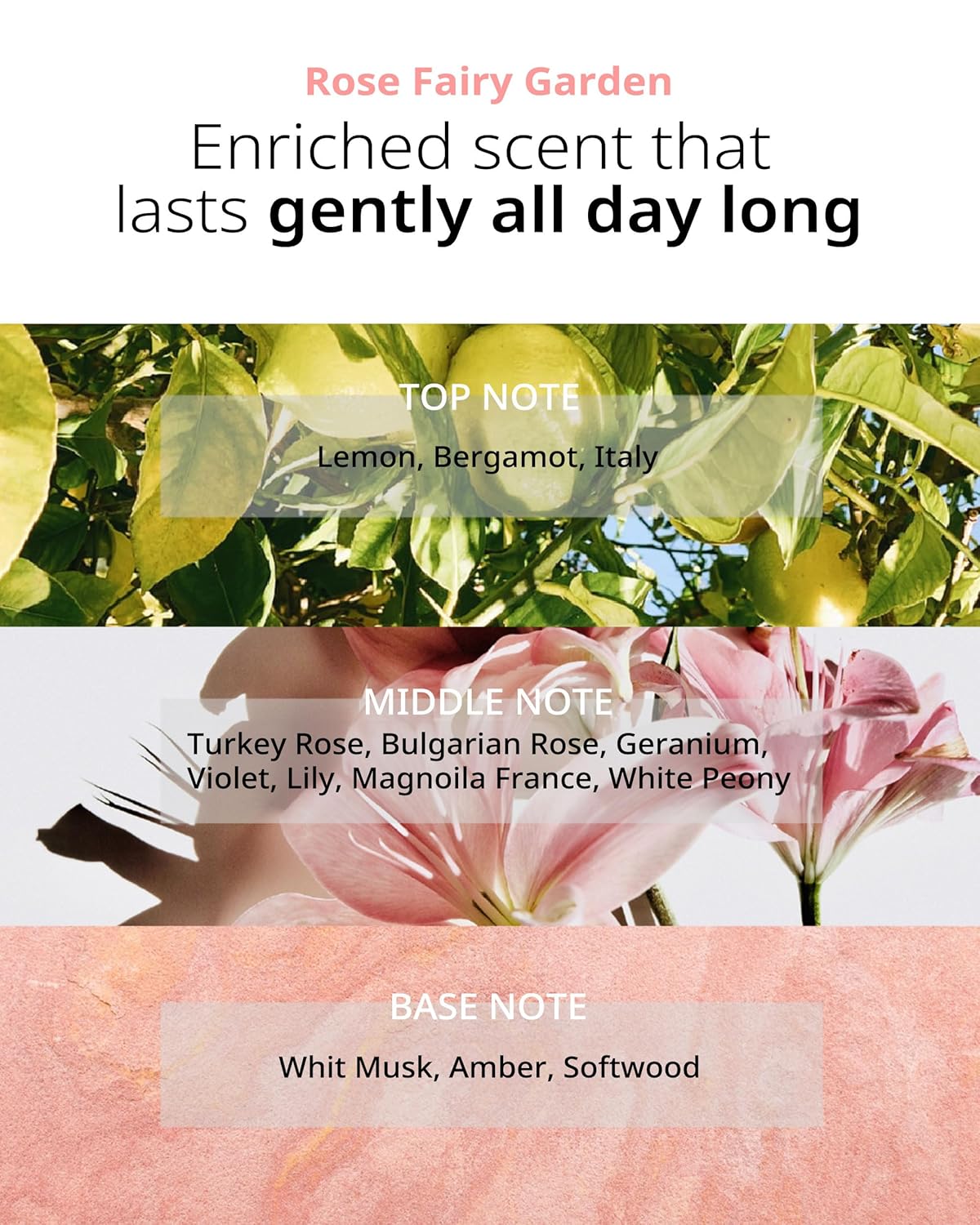 TAENG TAENG Elasticity Hair Shampoo- pH 5.5 Keratin & Protein Perfumed Shampoo for Thicker, Fuller Looking Hair - Rose Garden Scent - Paraben Free - 17 fl.oz