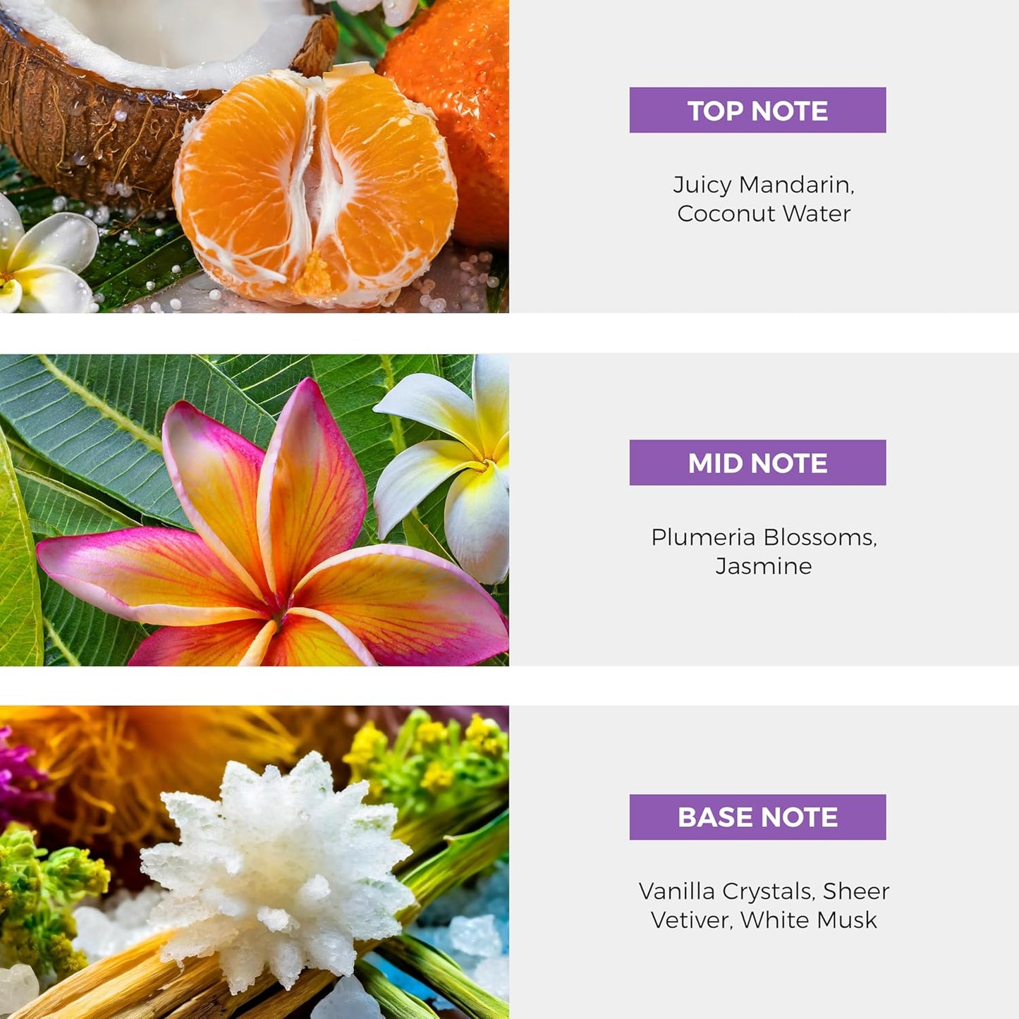 Jamaica Lignum Vitae Flower EDP Perfume Spray - 100 ml (3.4 oz)