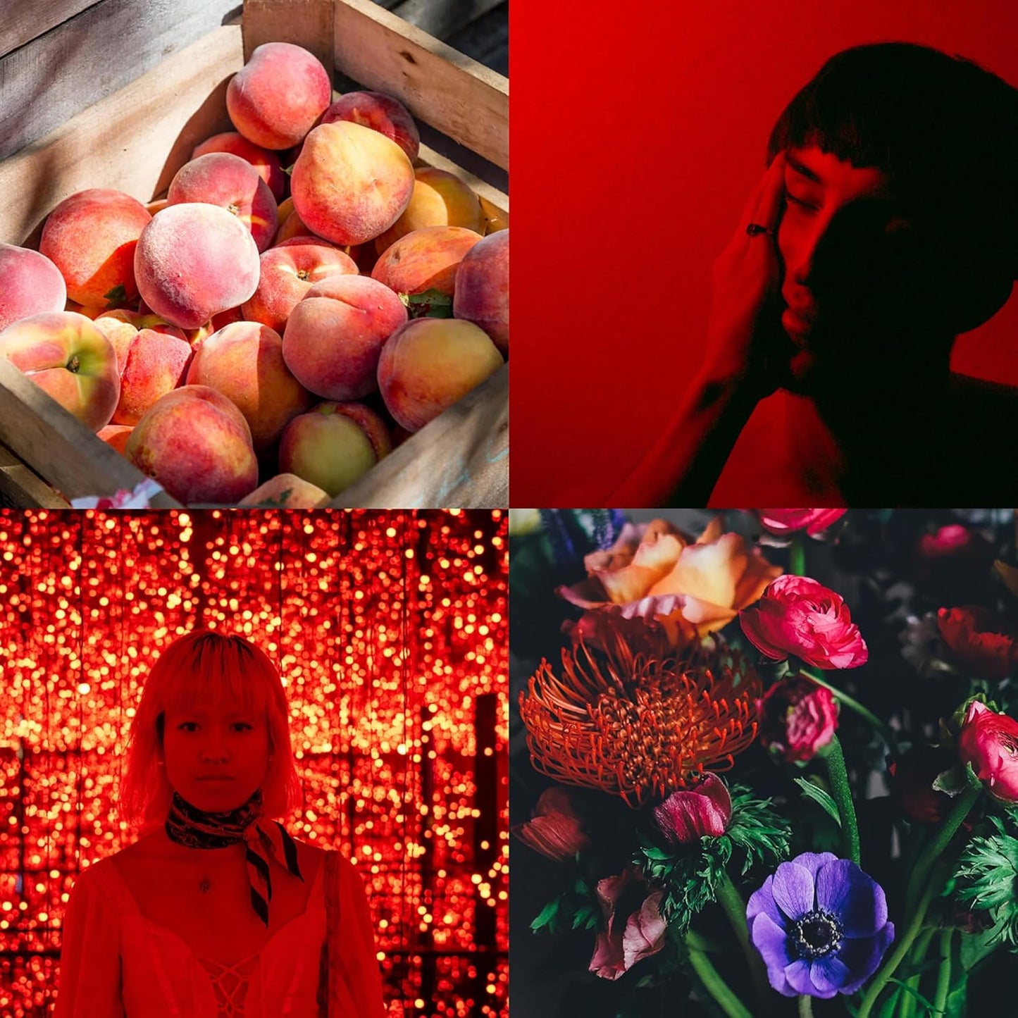 Perfumer's Choice No 4 by Phoenix Perfume for Men and Women. 83ml Eau de Parfum Luxury Fragrance - Mens & Ladies Perfume, Long Lasting Fragrance and Aftershave by Milton-Lloyd