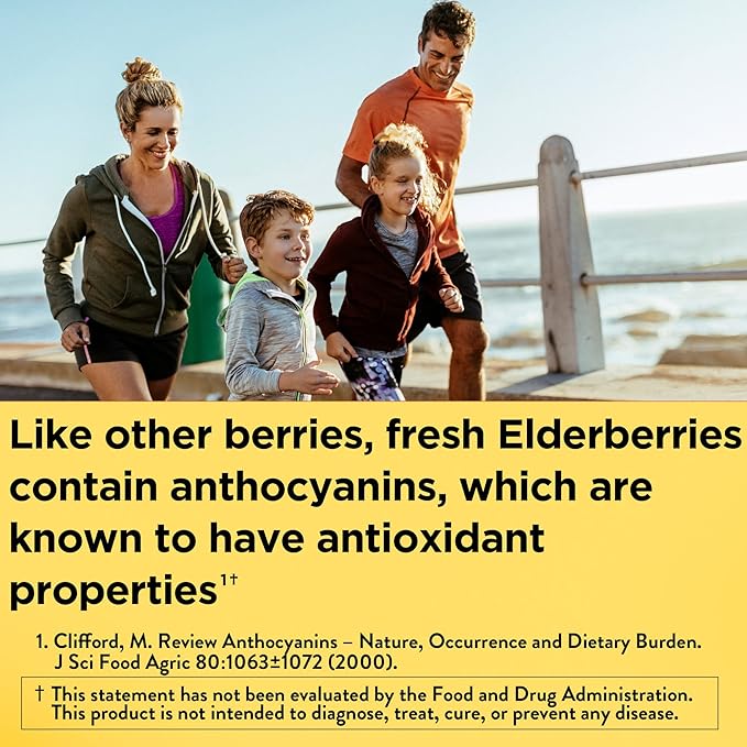 Nature Made Elderberry with Vitamin C 60 Elderberry 30 Day