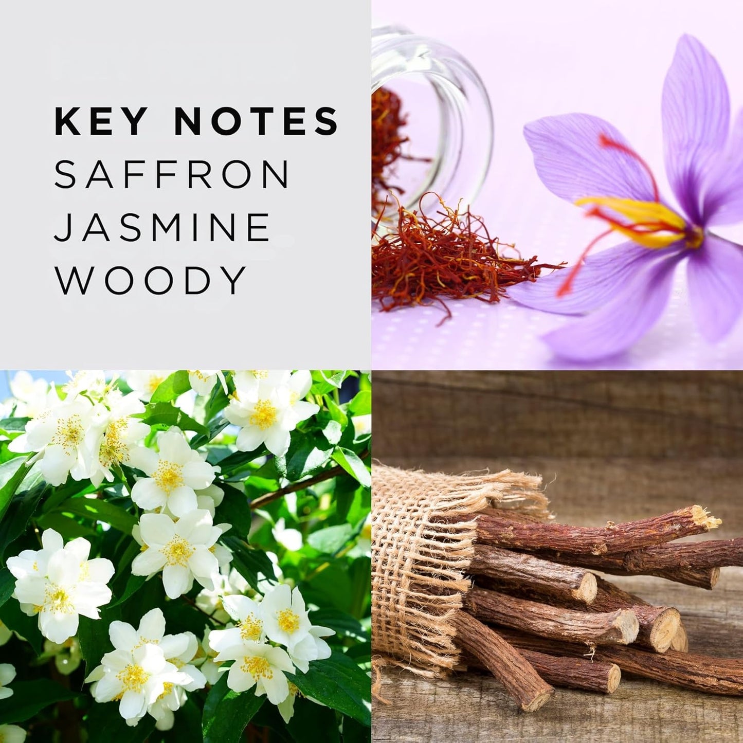 Majestic For Her No3 - Womens Fragrance - Woody Amber Warm Spicy Perfume for Women - Notes of Bergamot and Saffron - 3.4 oz EDP Spray