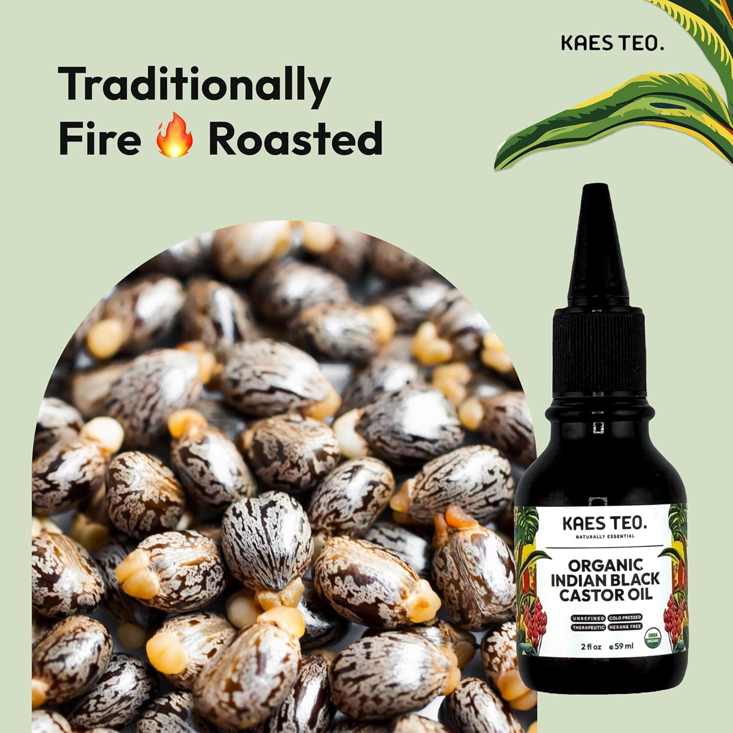 Organic Black Castor Oil for Hair Growth - Not Jamaican Black Castor Oil, 100% Pure Cold Pressed Hexane Free - USDA Certified, Skin, Nail, Scalp, Face, Thicker Eyebrows, Lashes 2 Fl Oz