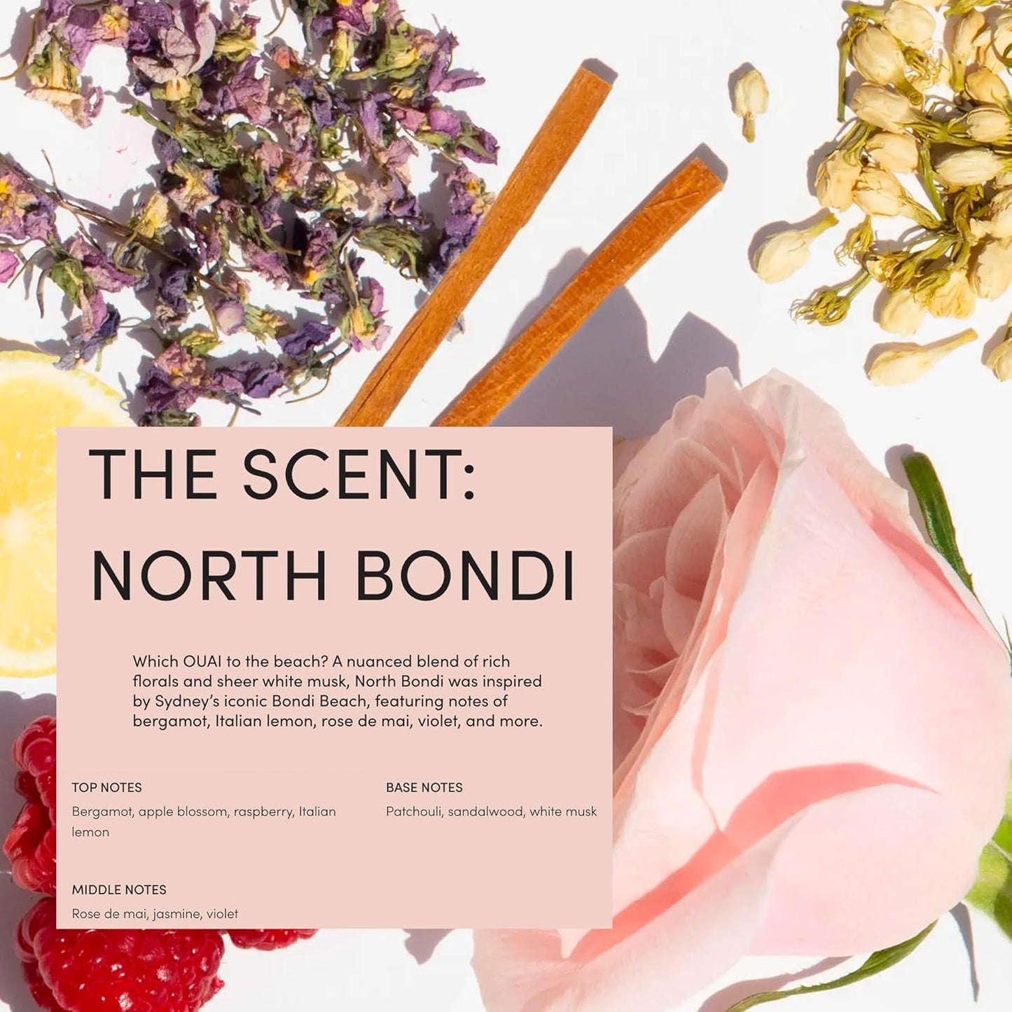 OUAI Curl Cream + Hair Oil Bundle - Hair Styling Products for Frizz Control - Includes Curl Cream (8 Oz) + Hair Oil (1.5 Oz) - 2-Piece Hair Care Set