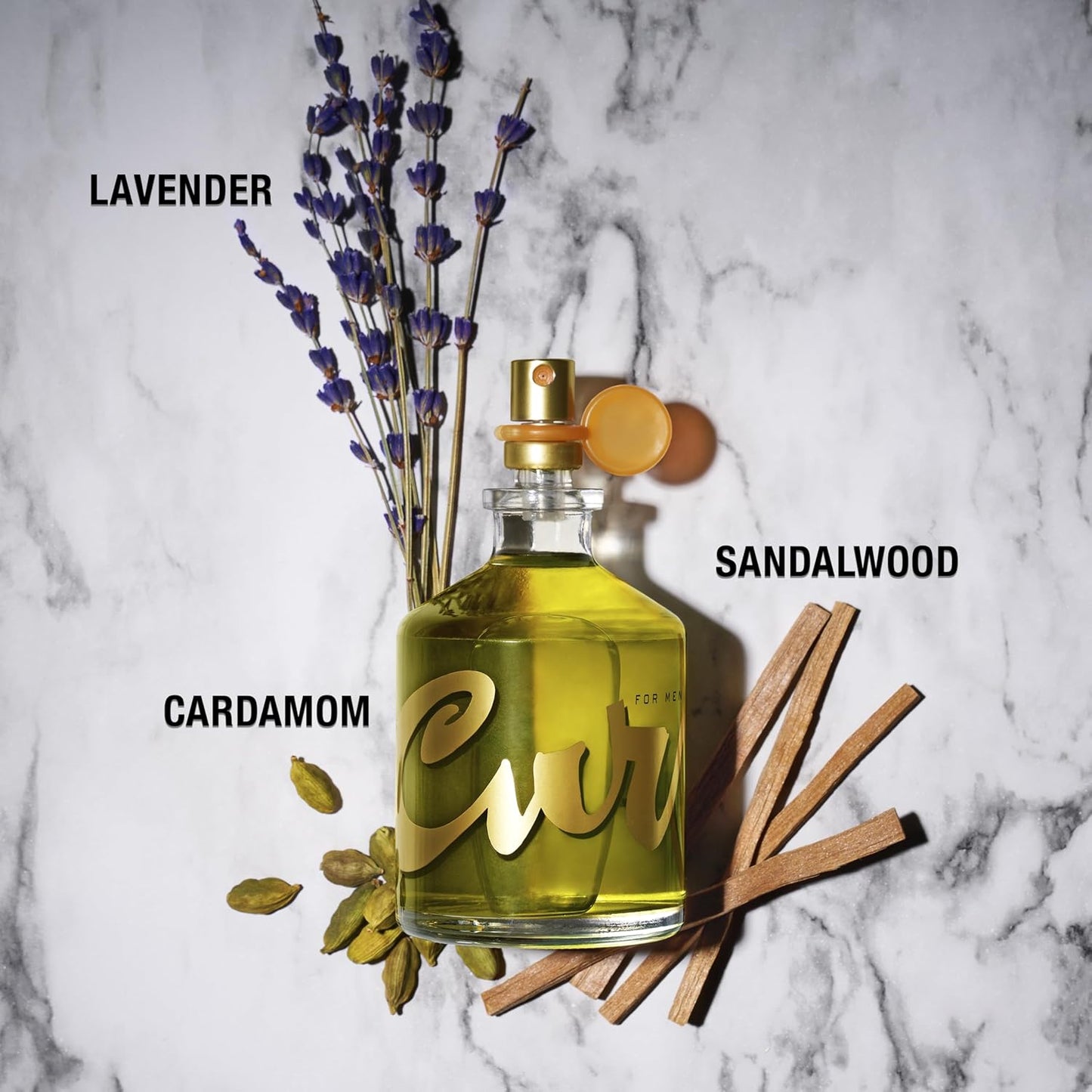 Curve for Men Cologne Spray, Spicy Woody Magnetic Scent for Day or Night, 4.2 fl oz