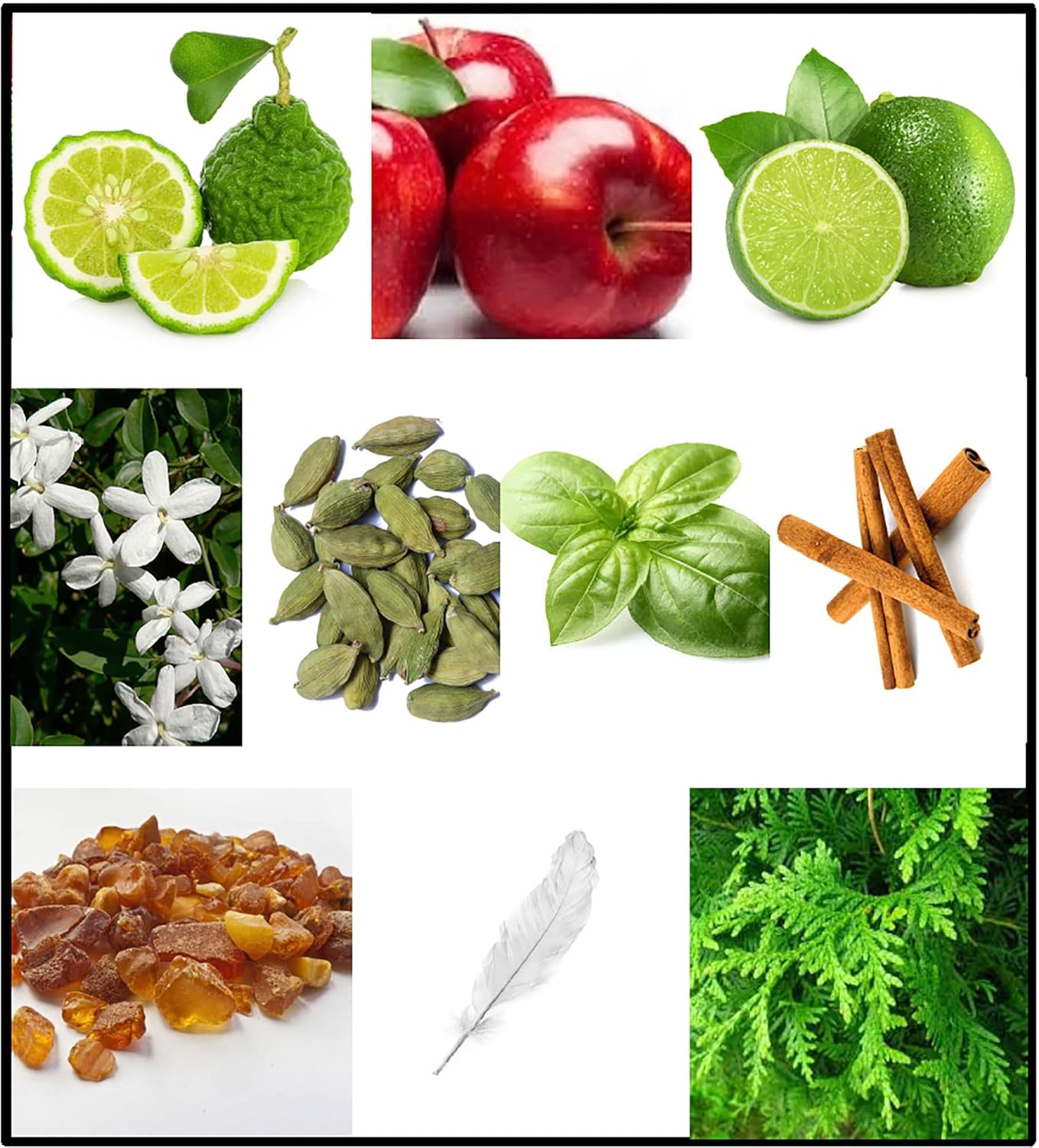 Fila BLACK for Men - Invigorating Spicy And Floral Fragrance For Him - Extra Strength, Long Lasting Scent Payoff For All-Day Wear - Trendy, Rectangular, Streamlined, Portable Bottle Design - 8.4 Oz