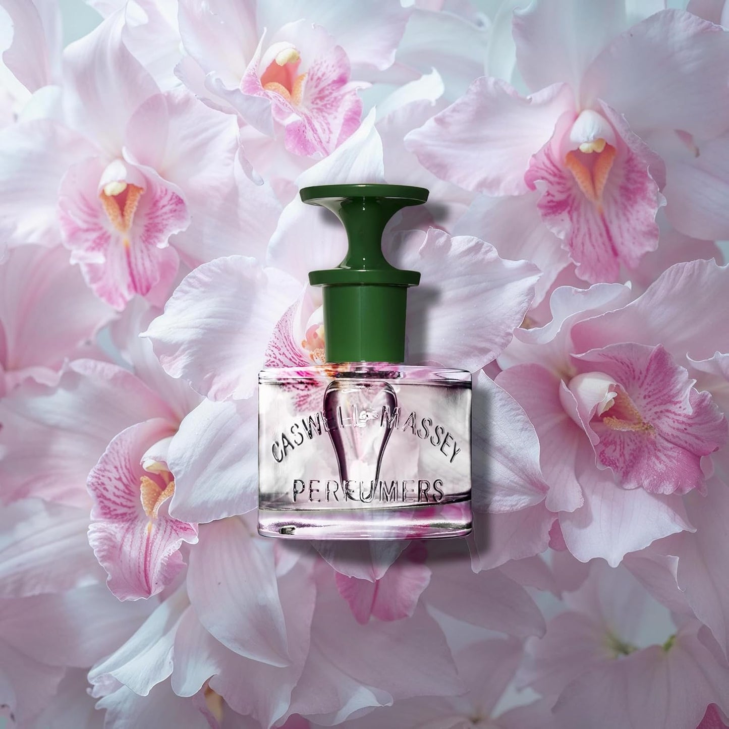 Caswell-Massey Orchid Perfume, Classic Floral Scent, Luxurious & Long-Lasting Fragrance for Women, Full Size, Perfume for Women, 2 Fl Oz
